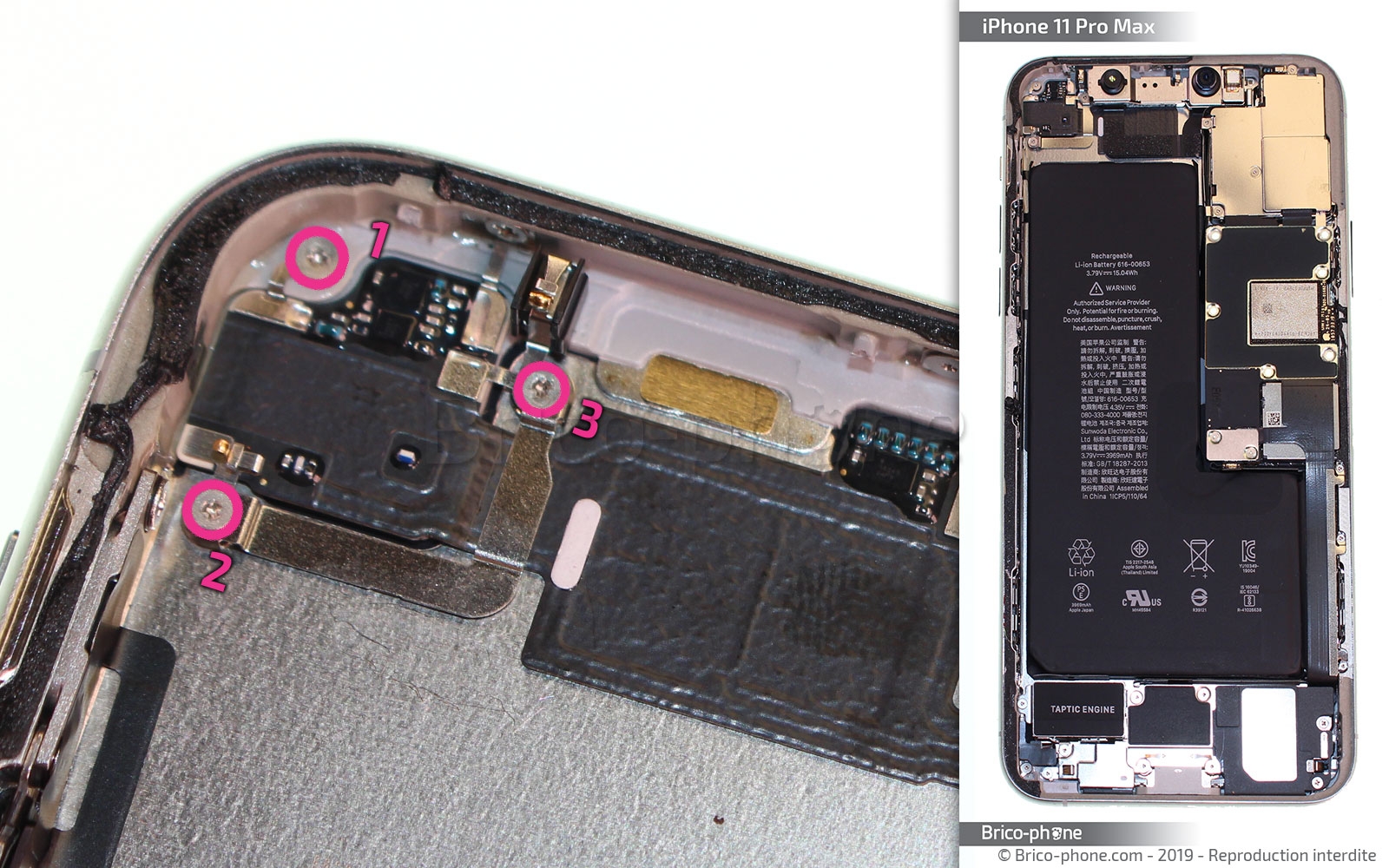 Démontage complet  sur iPhone 11 Pro Max photo 1