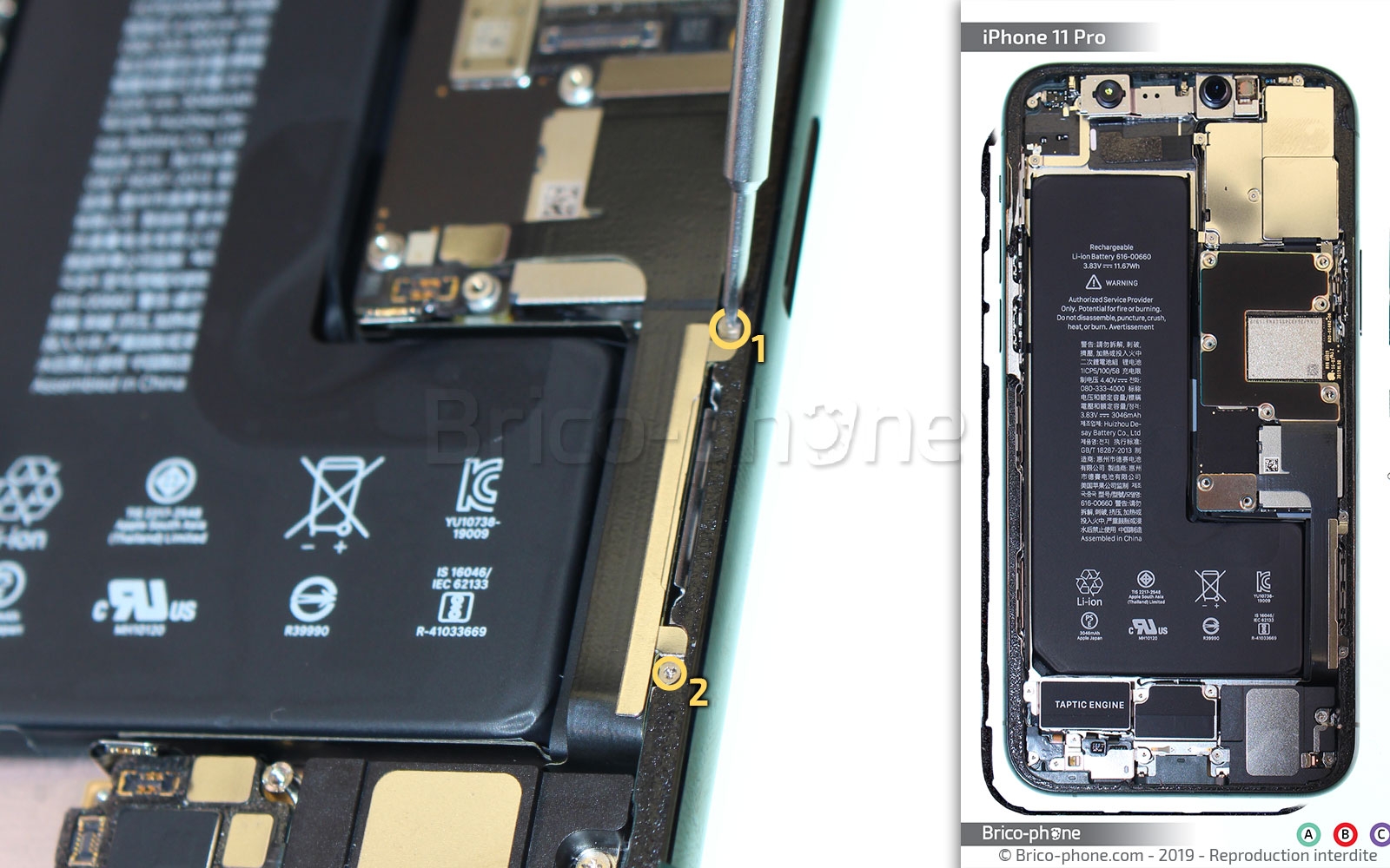 Démontage complet sur iPhone 11 Pro photo 1