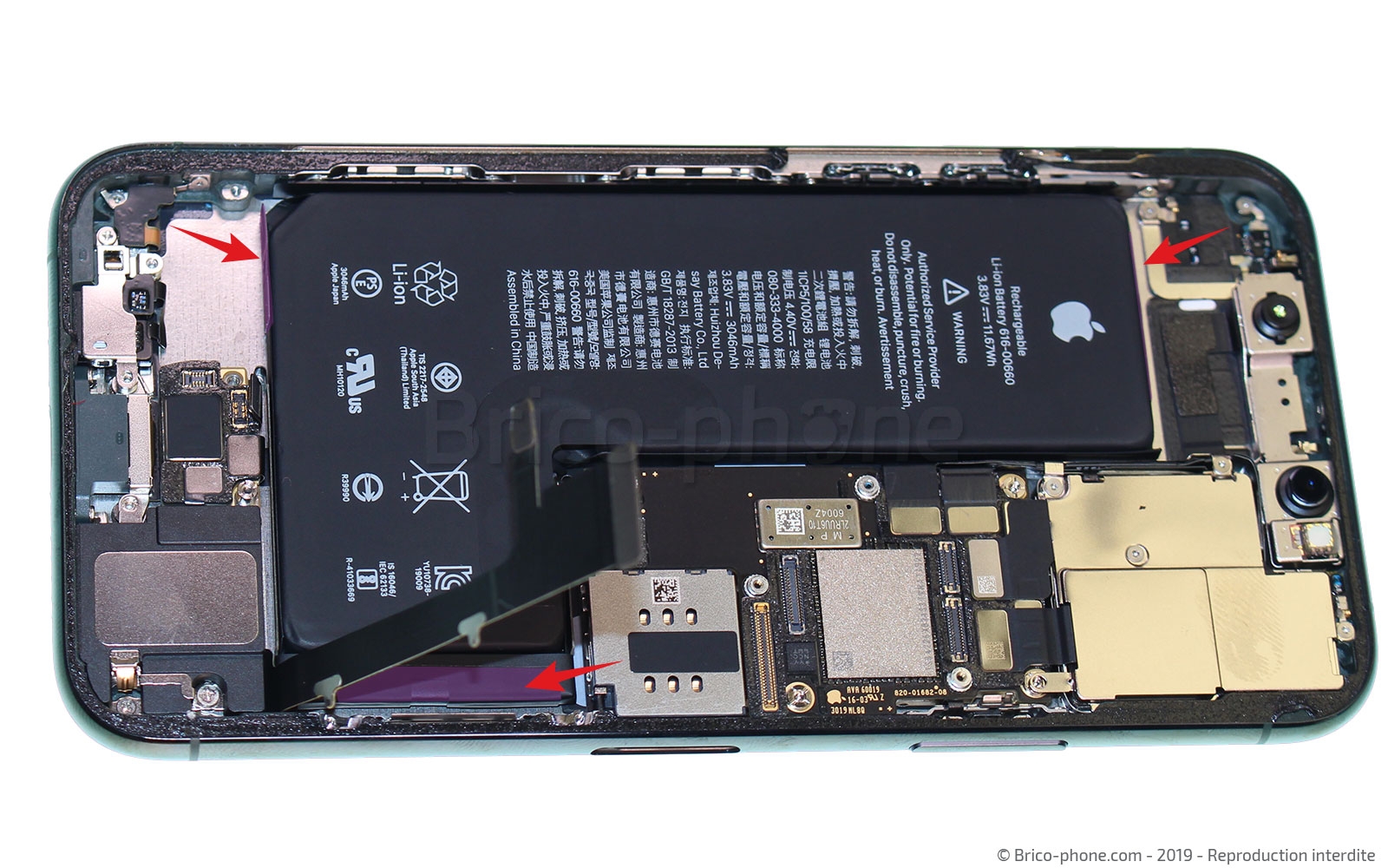 Démontage complet sur iPhone 11 Pro photo 1