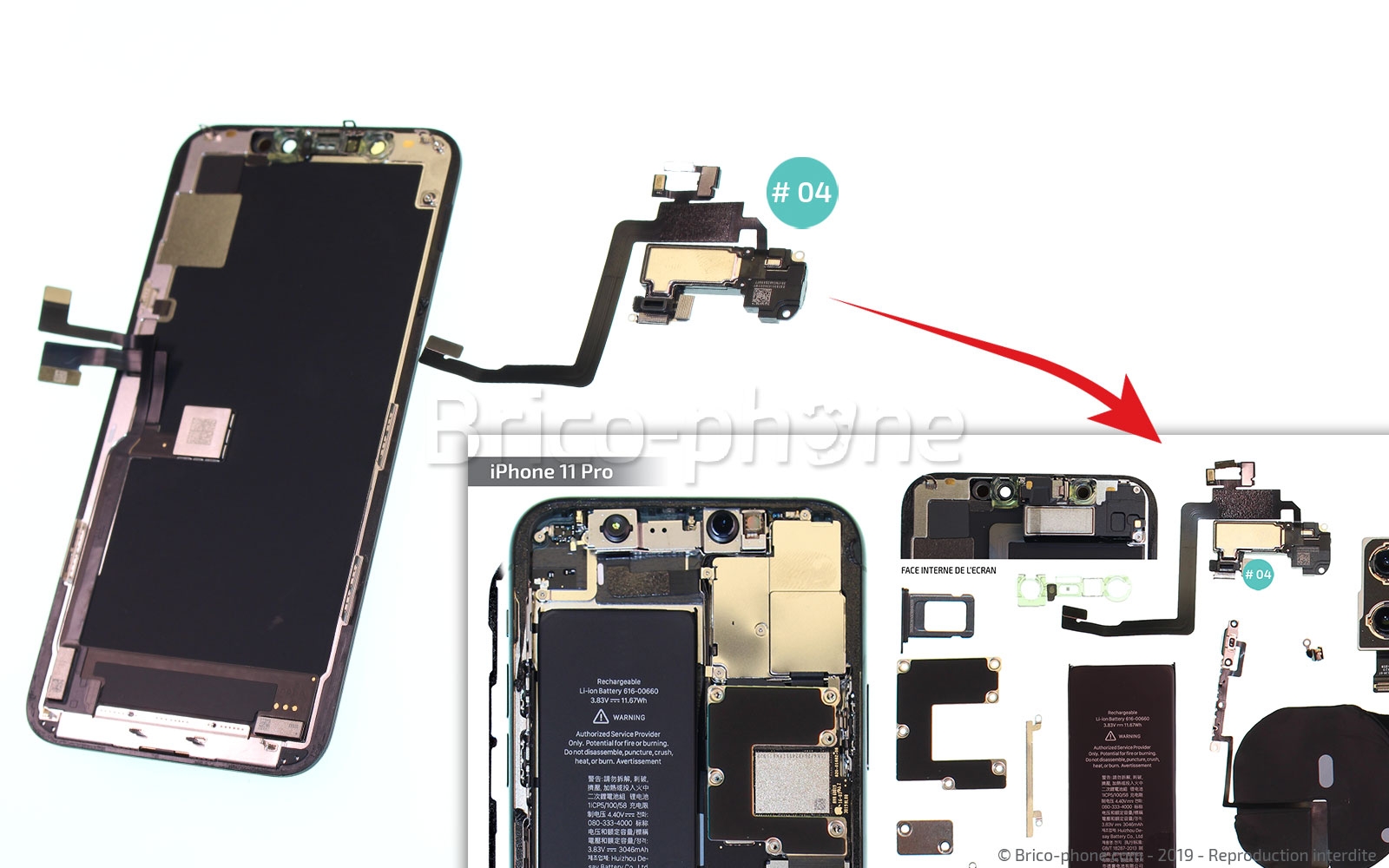 Démontage complet sur iPhone 11 Pro photo 4