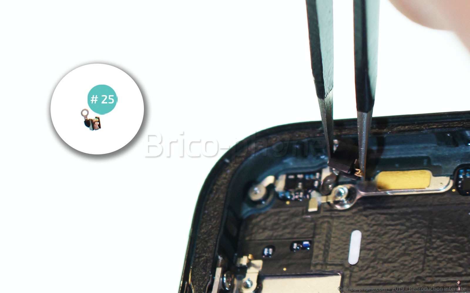 Démontage complet sur iPhone 11 Pro photo 3