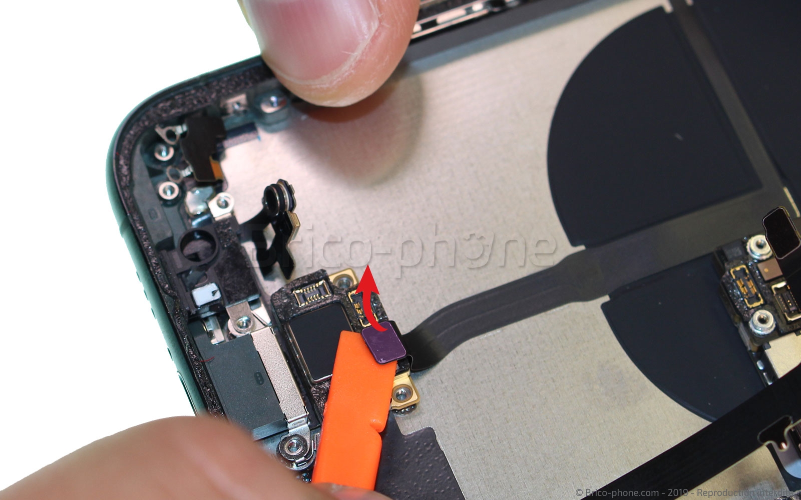 Démontage complet sur iPhone 11 Pro photo 1