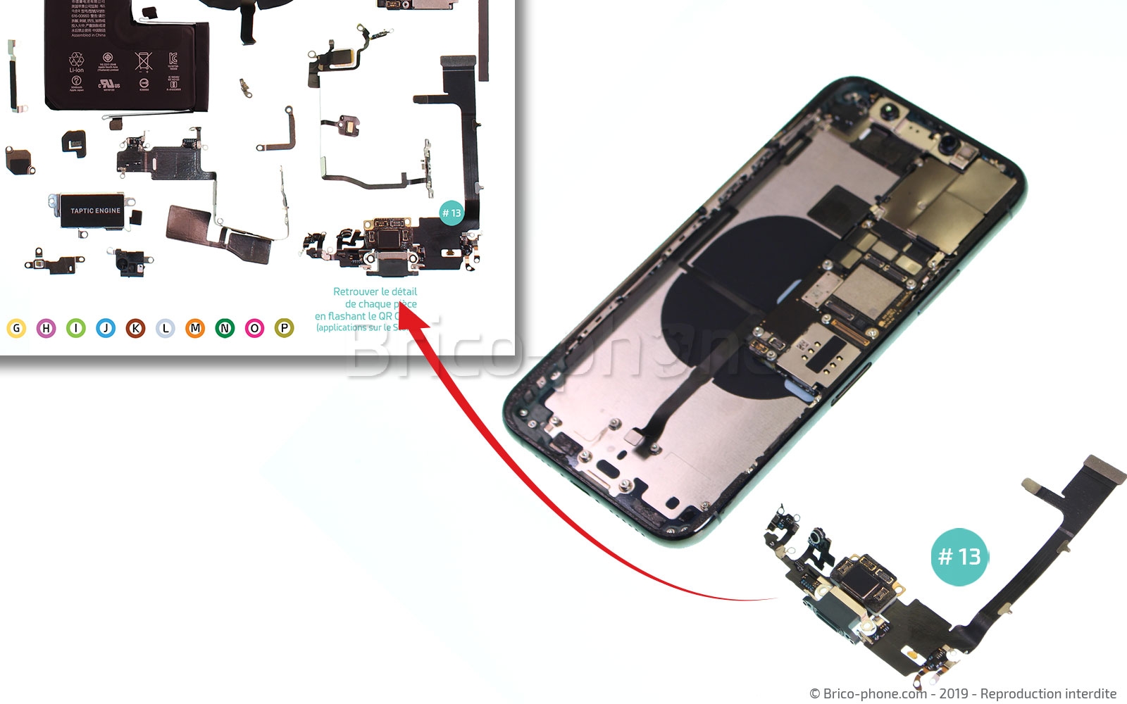 Démontage complet sur iPhone 11 Pro photo 4