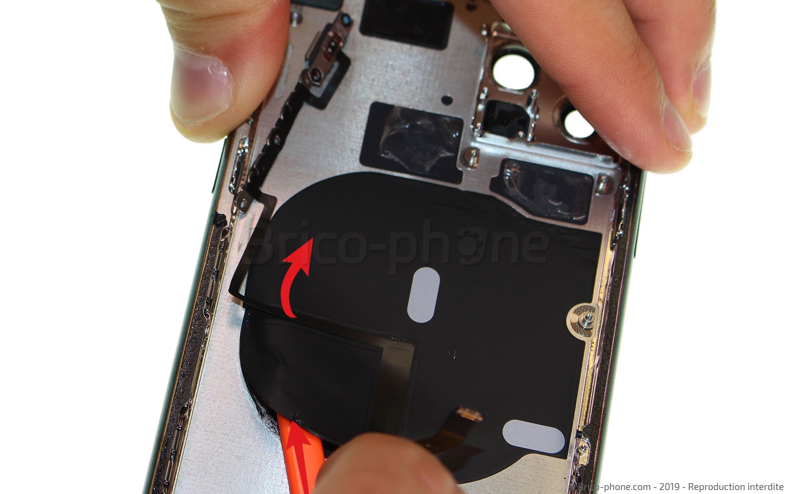 Démontage complet sur iPhone 11 Pro photo 3
