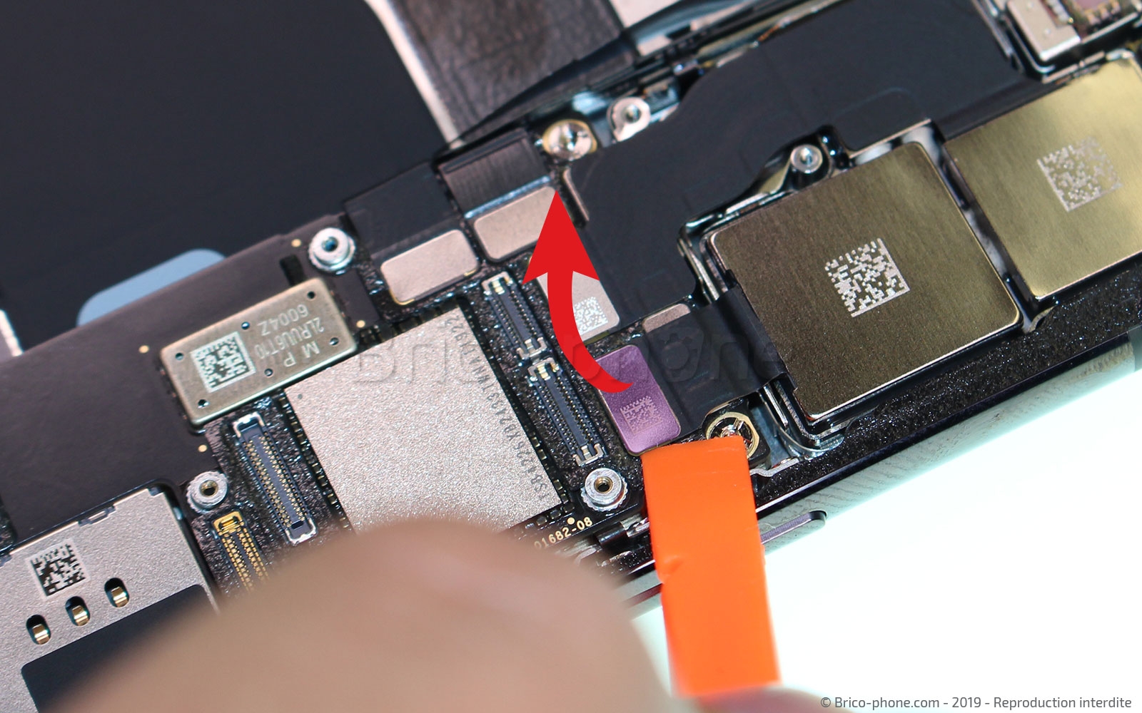 Démontage complet sur iPhone 11 Pro photo 1