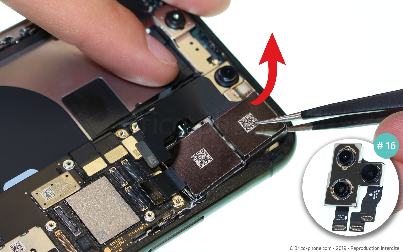 Démontage complet sur iPhone 11 Pro photo 4