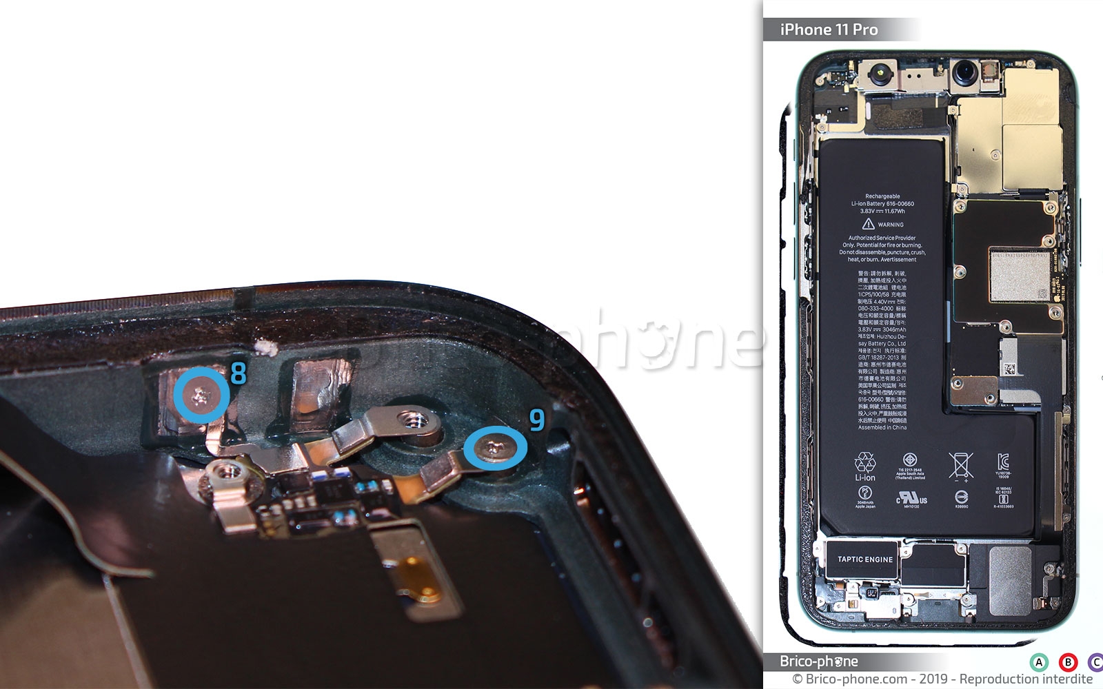 Démontage complet sur iPhone 11 Pro photo 2