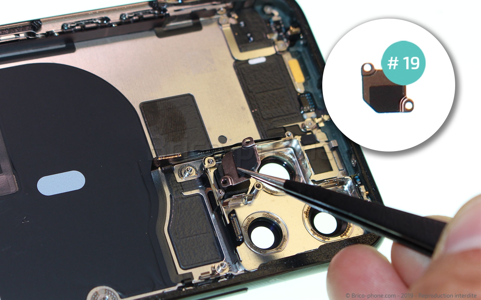 Démontage complet sur iPhone 11 Pro photo 2