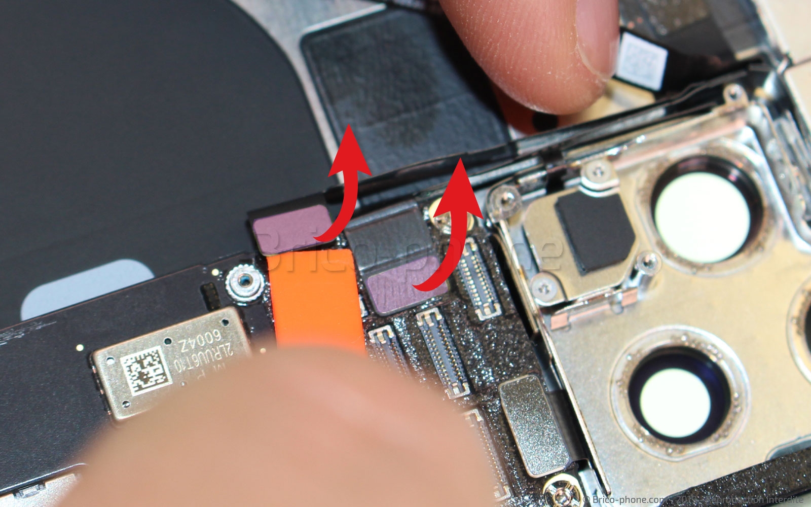 Démontage complet sur iPhone 11 Pro photo 2