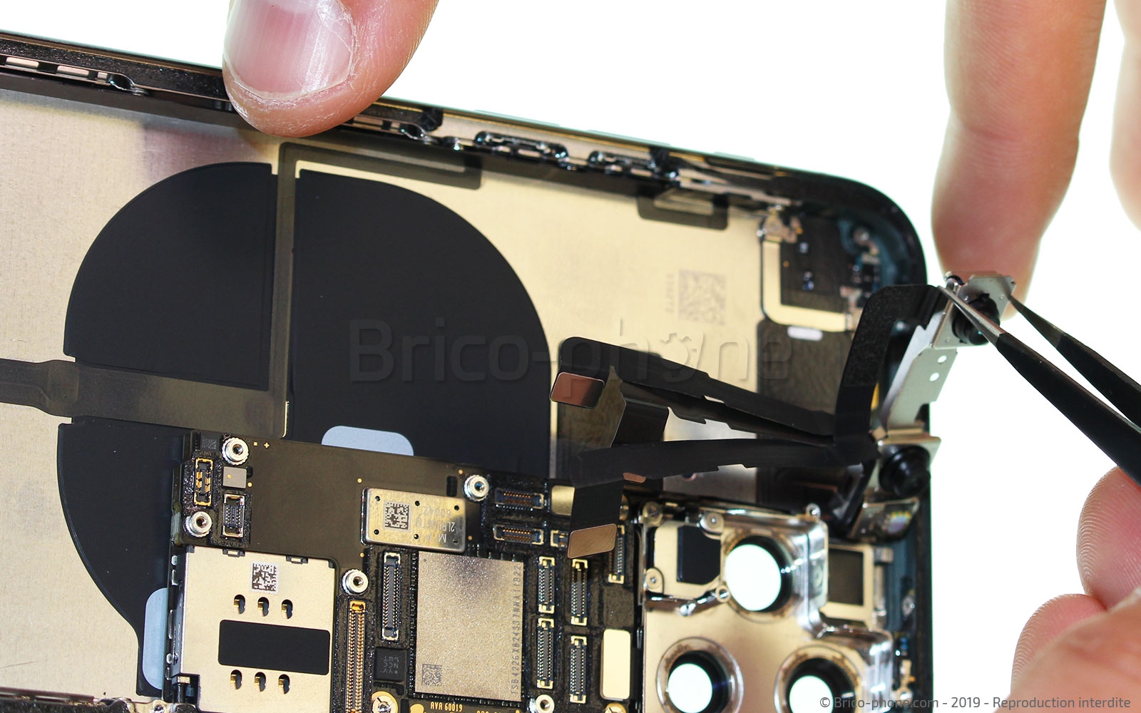 Démontage complet sur iPhone 11 Pro photo 3