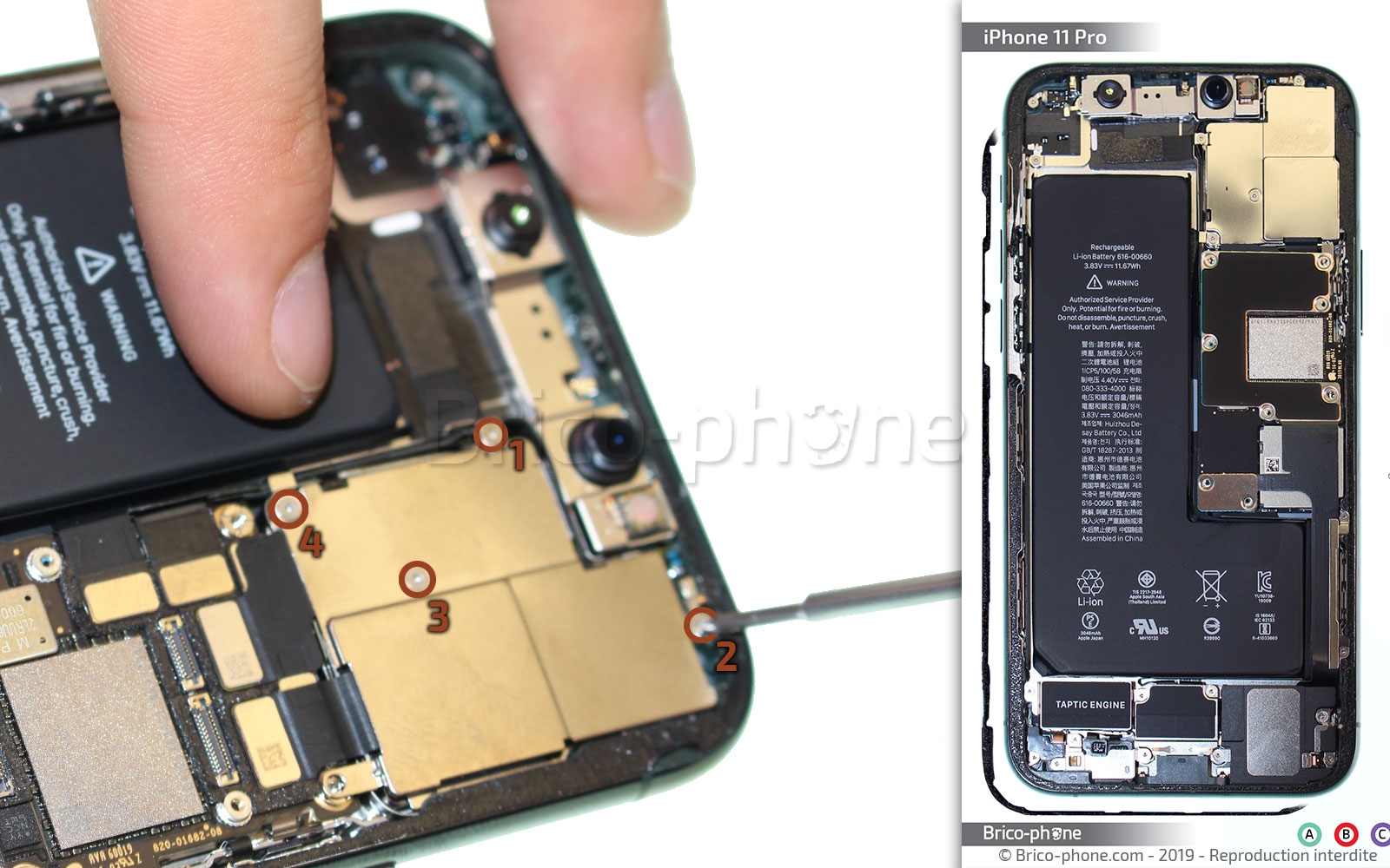 Changement de la triple caméra arrière sur iPhone 11 Pro photo 1