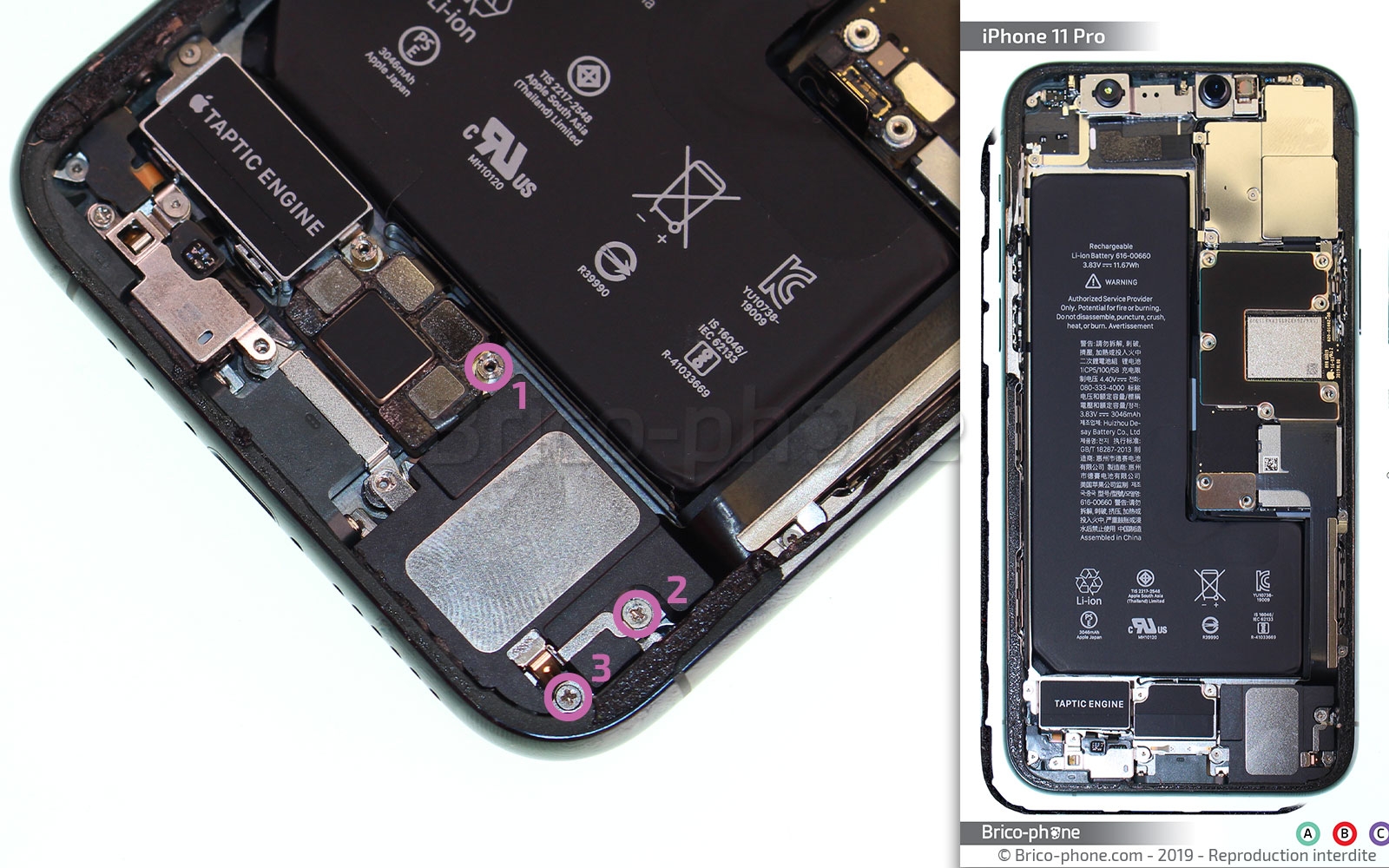 Changement du haut-parleur externe sur iPhone 11 Pro photo 1