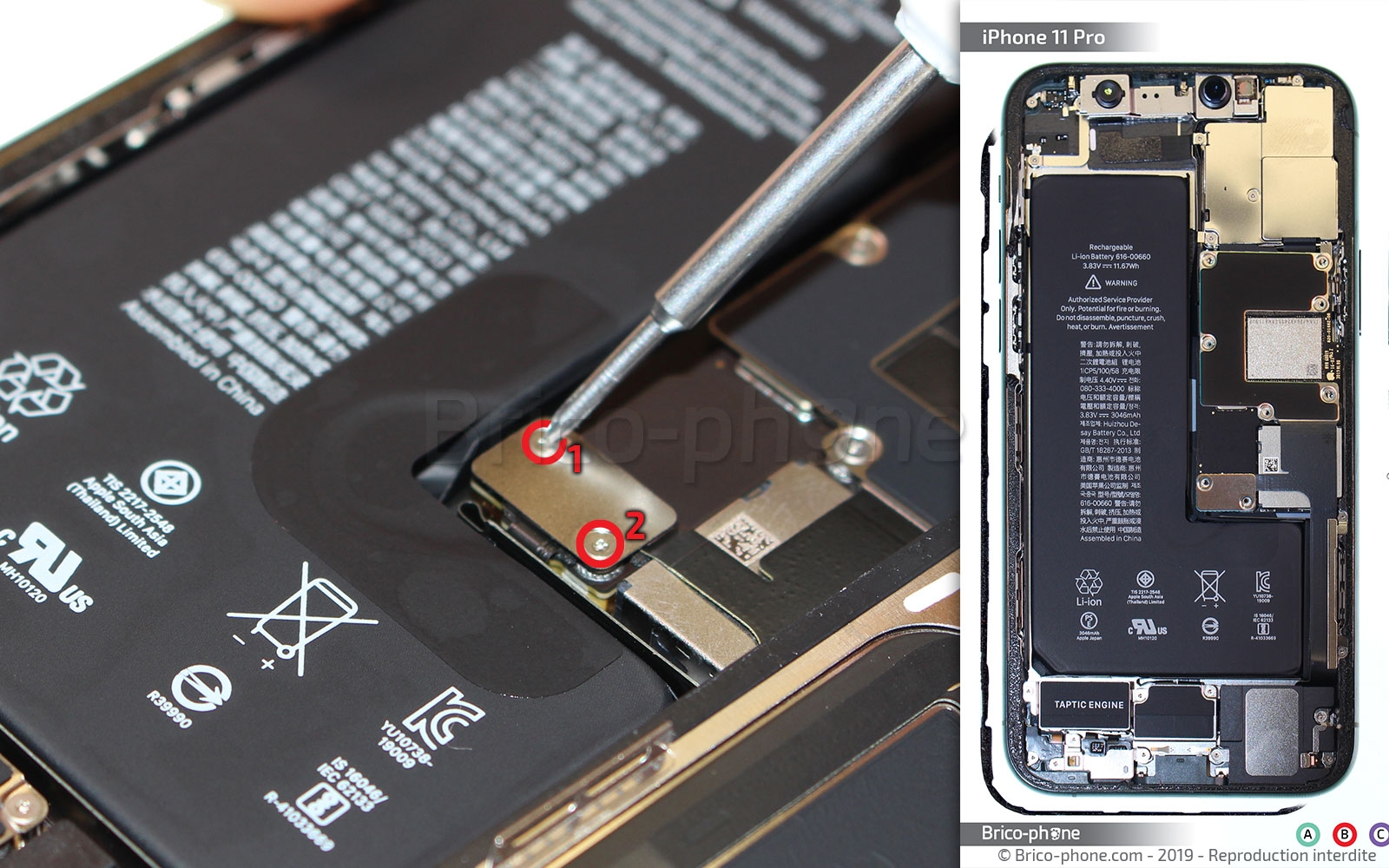 Changement du vibreur Taptic Engine sur iPhone 11 Pro photo 1