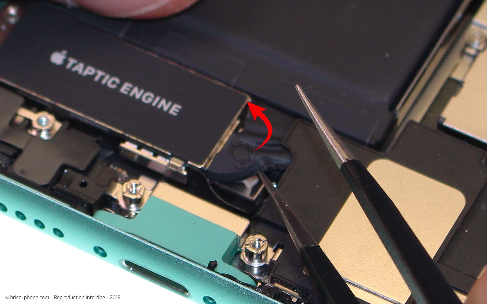 Remplacement du vibreur Taptic Engine sur iPhone 11 photo 1