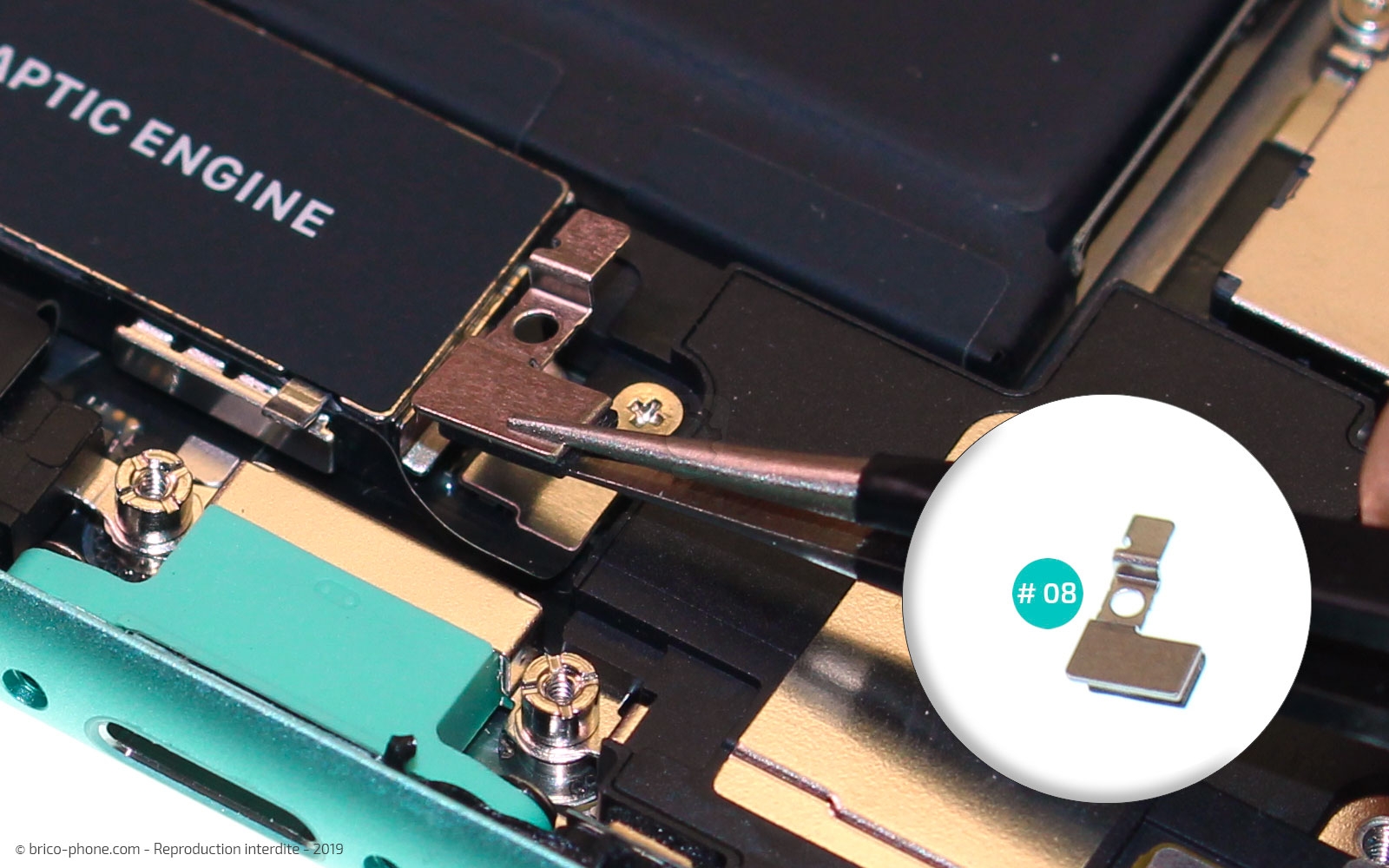 Remplacement du vibreur Taptic Engine sur iPhone 11 photo 4