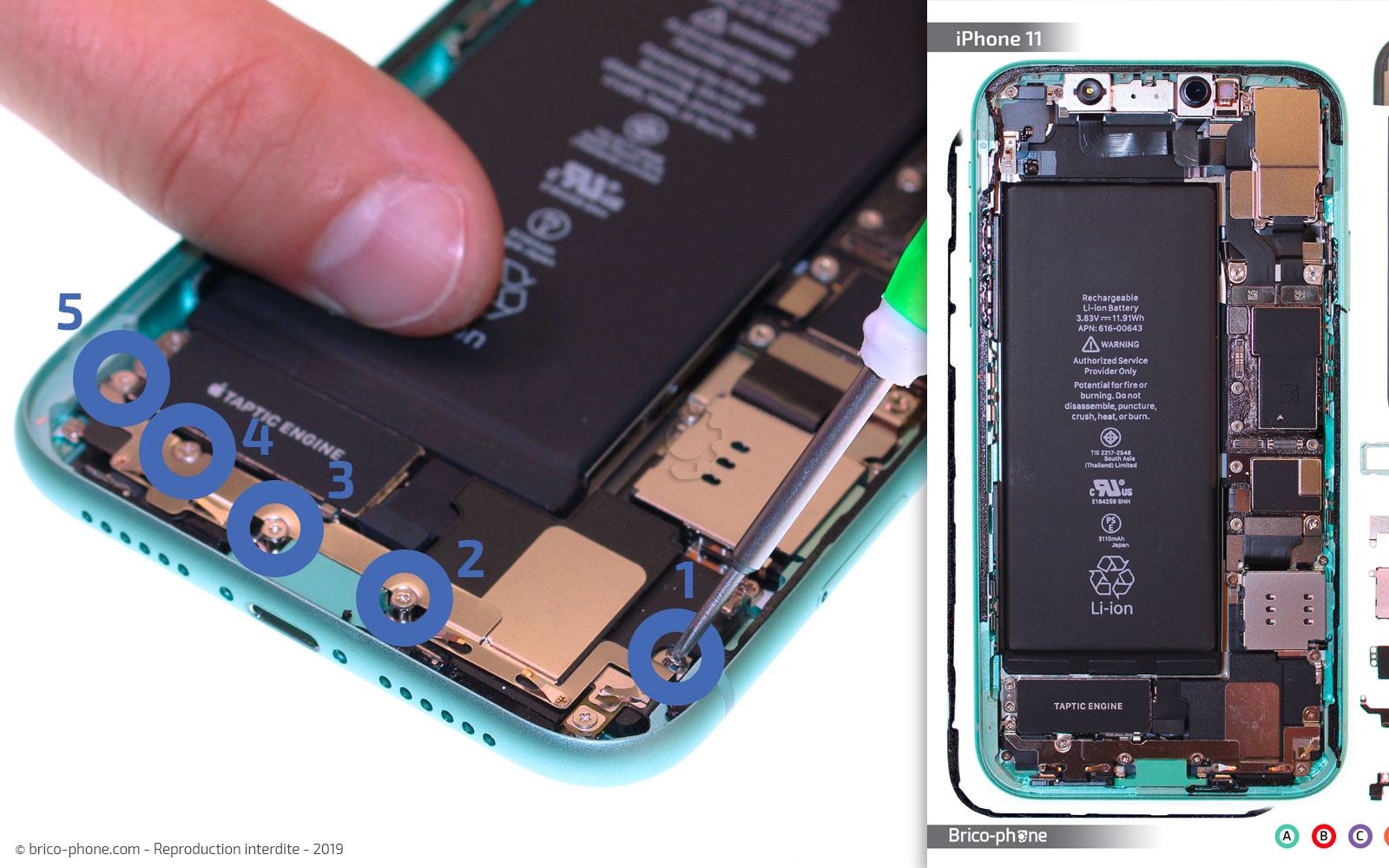 Remplacement du vibreur Taptic Engine sur iPhone 11 photo 1