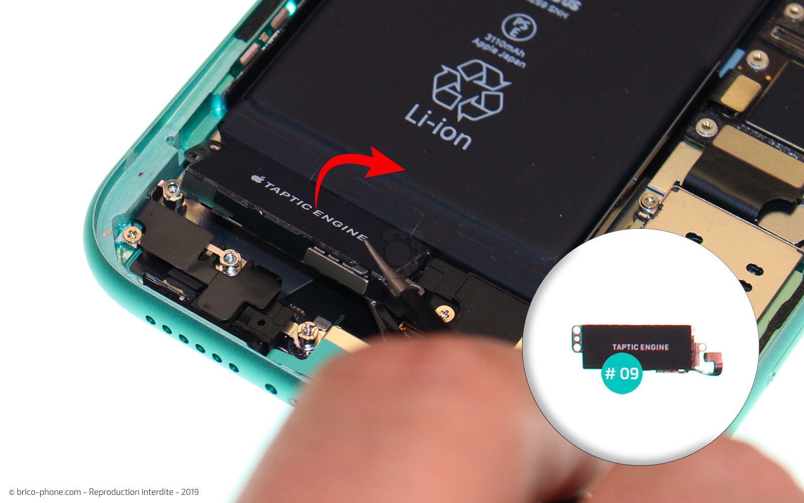 Remplacement du vibreur Taptic Engine sur iPhone 11 photo 3