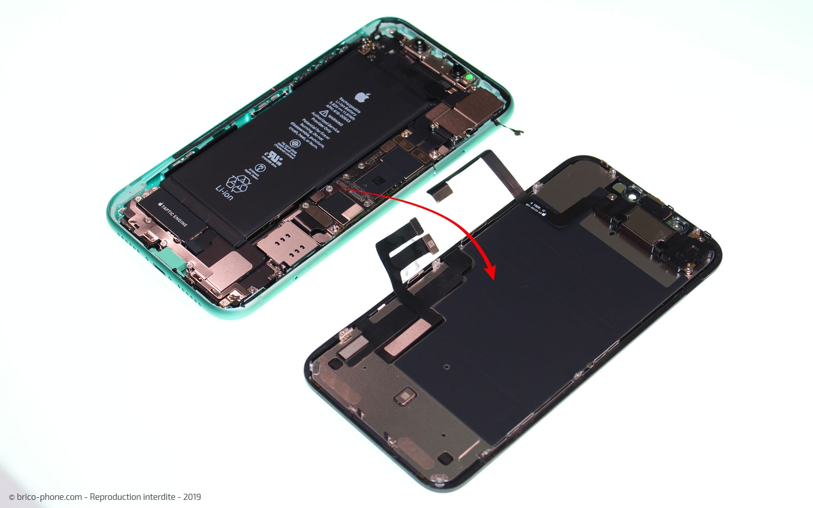 Remplacement du vibreur Taptic Engine sur iPhone 11 photo 3