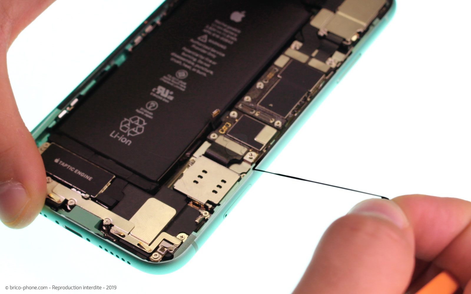 Remplacement du vibreur Taptic Engine sur iPhone 11 photo 1