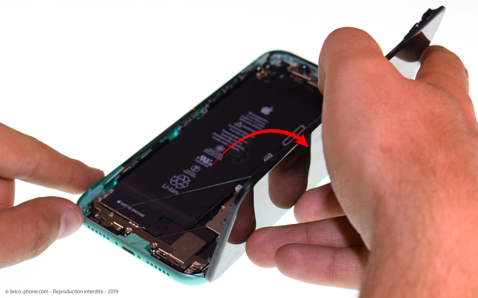 Remplacement du vibreur Taptic Engine sur iPhone 11 photo 2