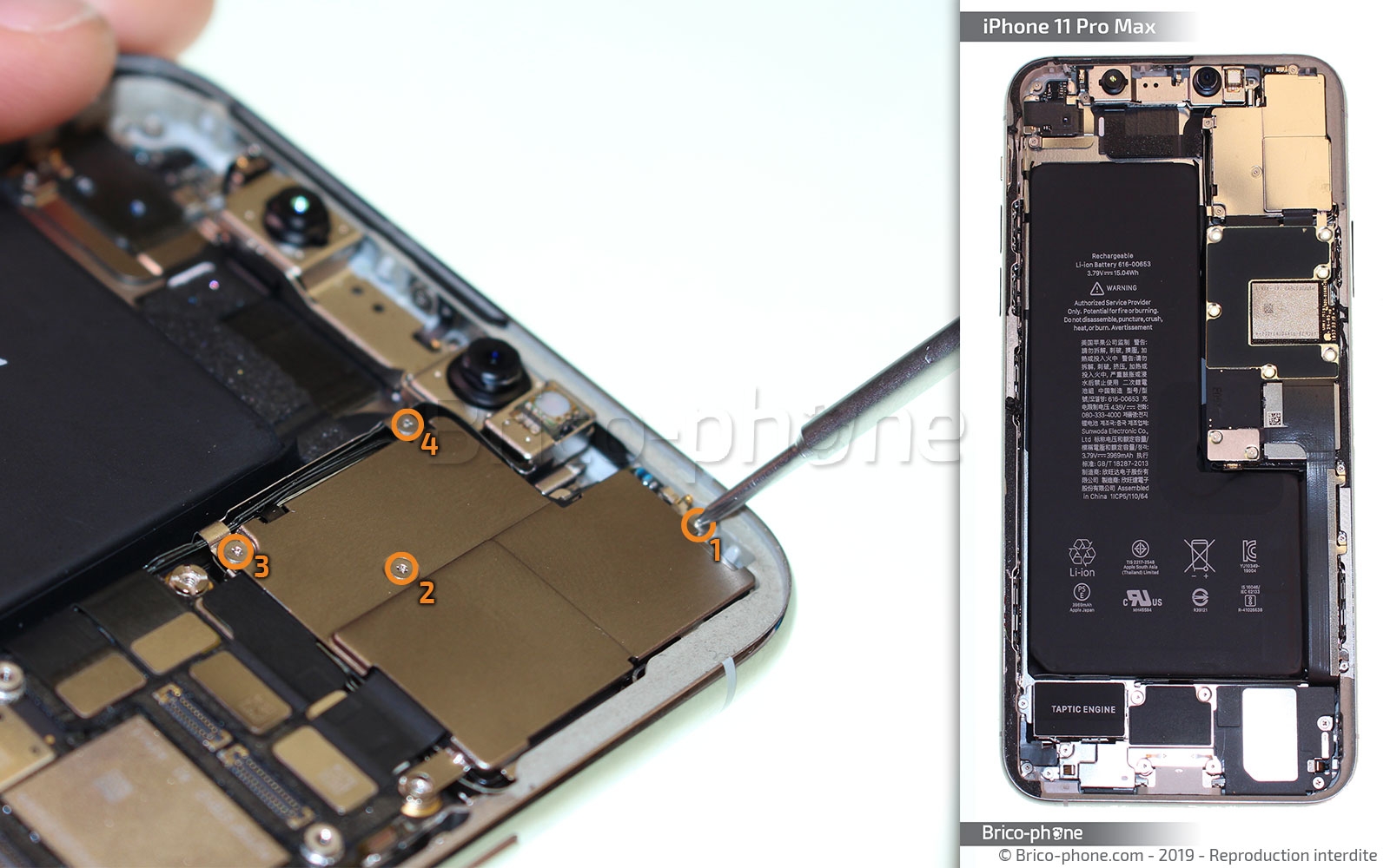 Changement de la triple caméra arrière sur iPhone 11 Pro Max photo 1