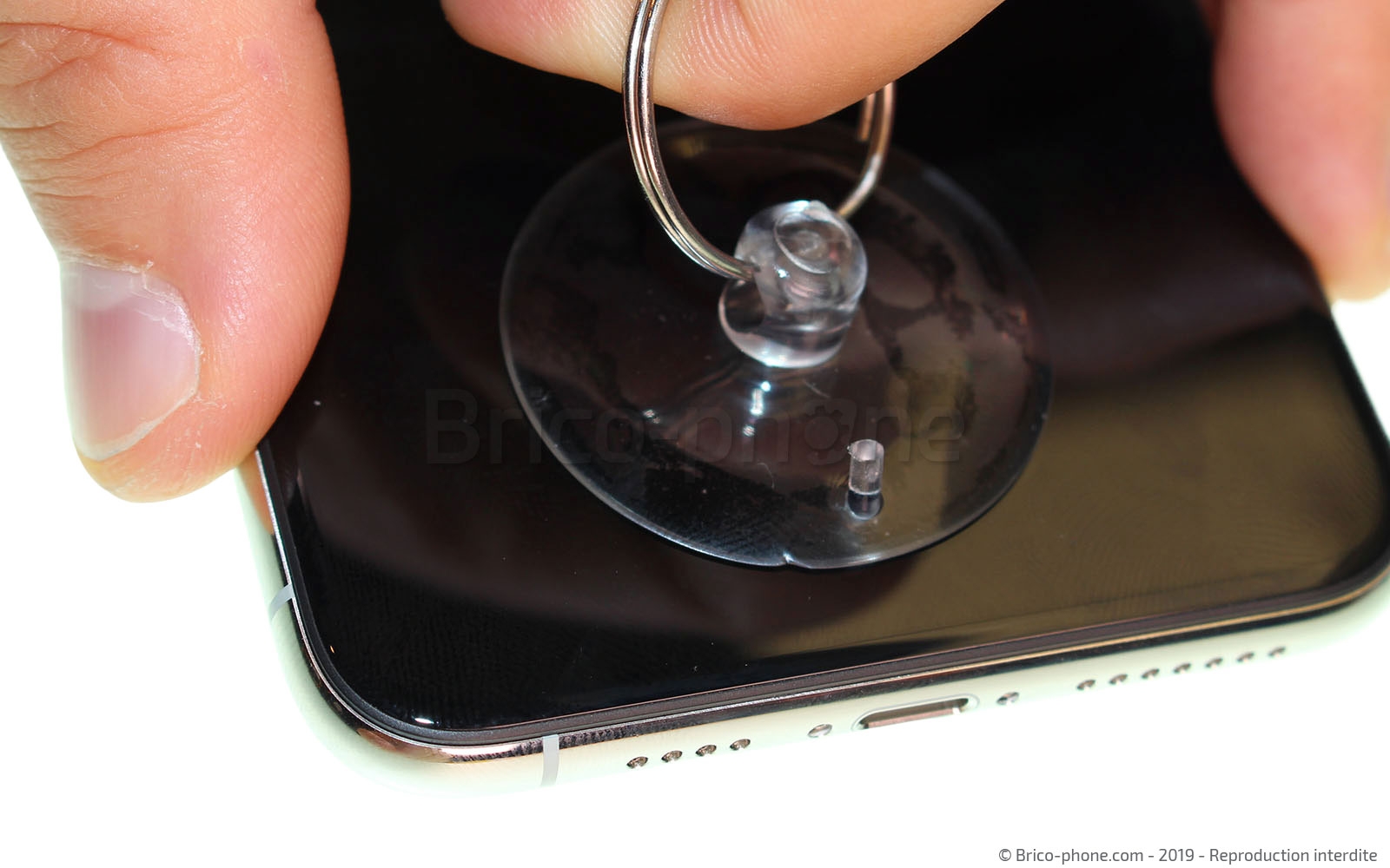 Changement du haut-parleur externe sur iPhone 11 Pro Max photo 2