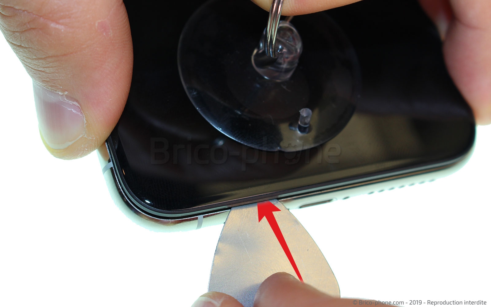 Changement du haut-parleur externe sur iPhone 11 Pro Max photo 3