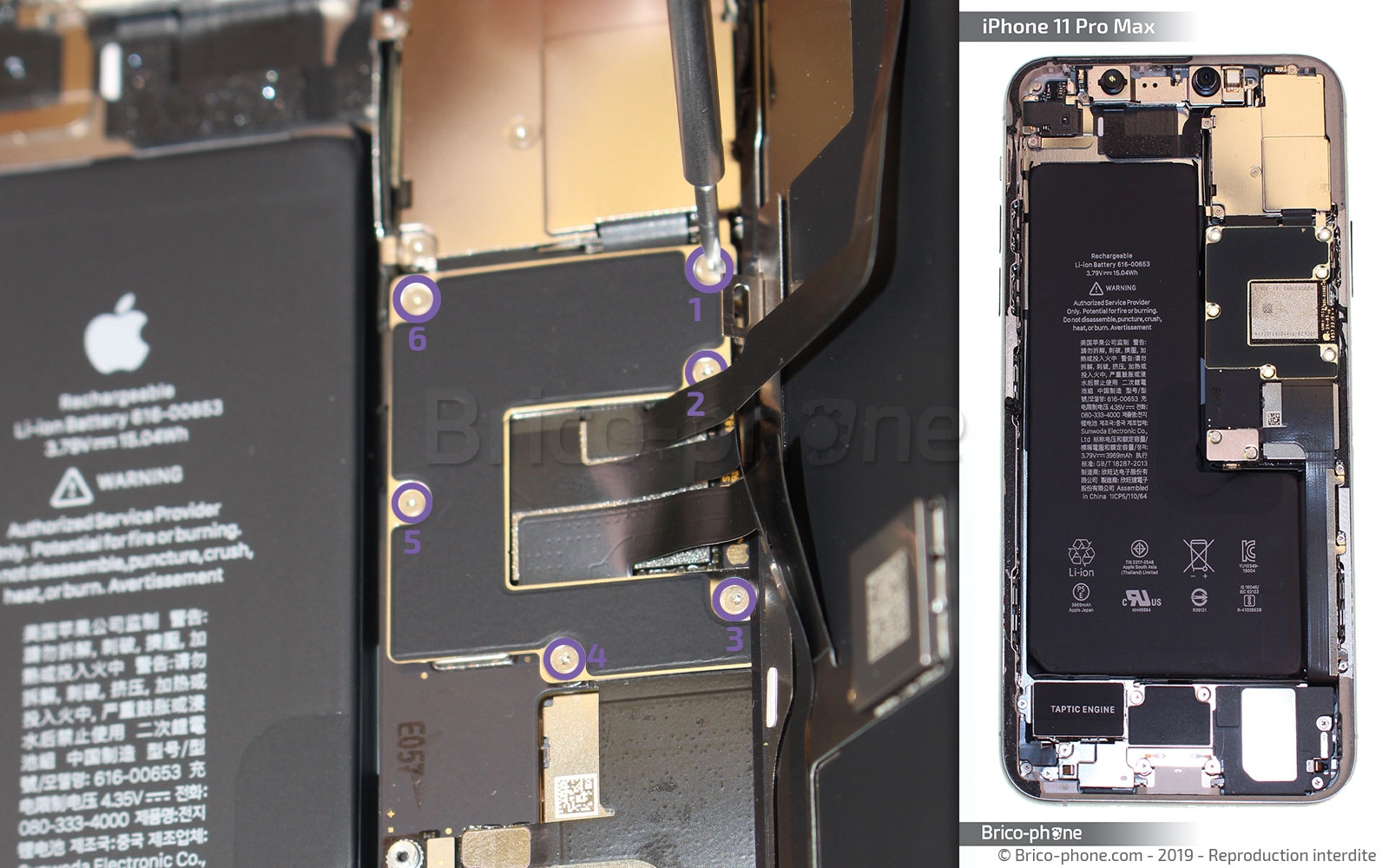 Changement du haut-parleur externe sur iPhone 11 Pro Max photo 1