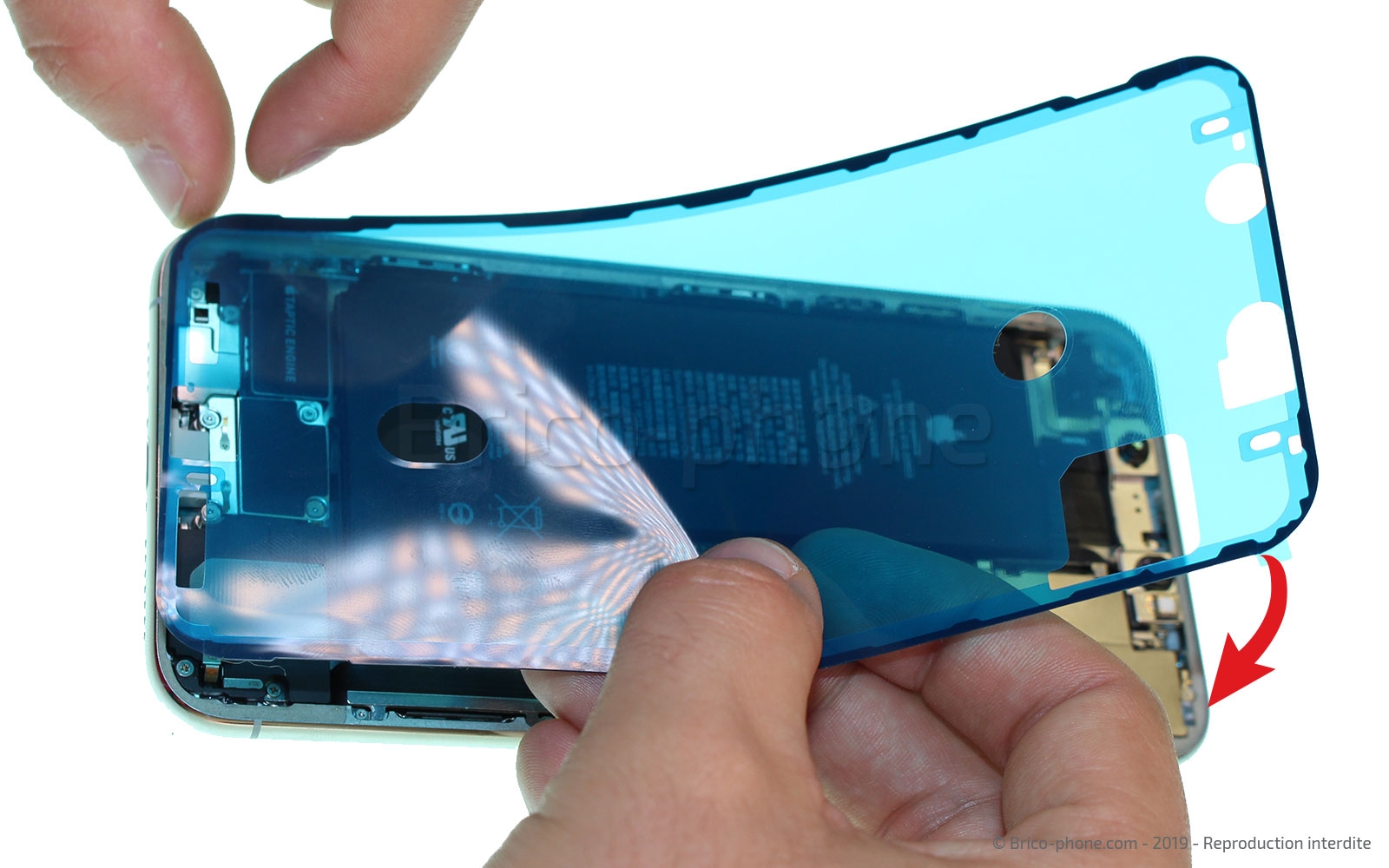 Changement du haut-parleur externe sur iPhone 11 Pro Max photo 2