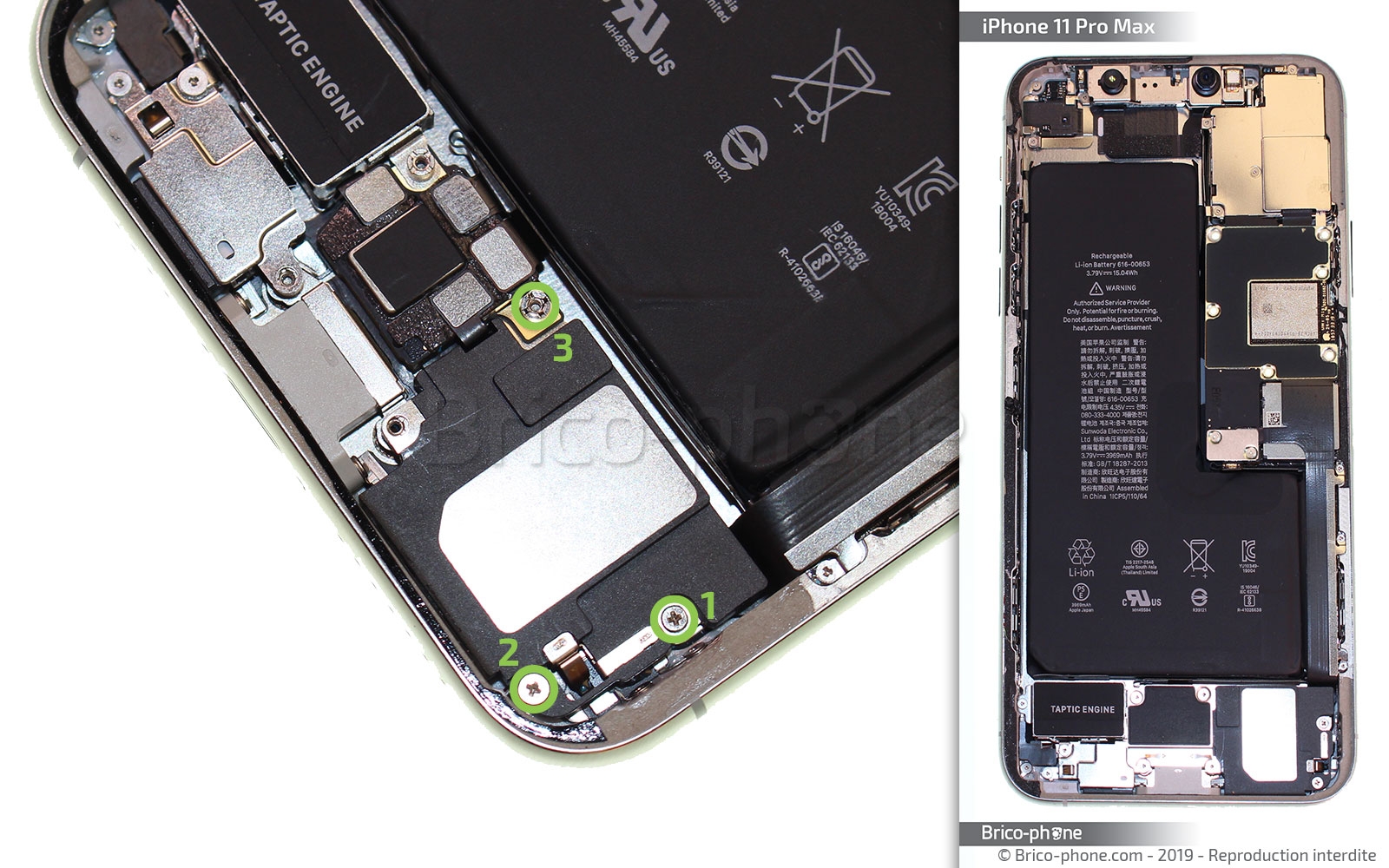 Changement du haut-parleur externe sur iPhone 11 Pro Max photo 1