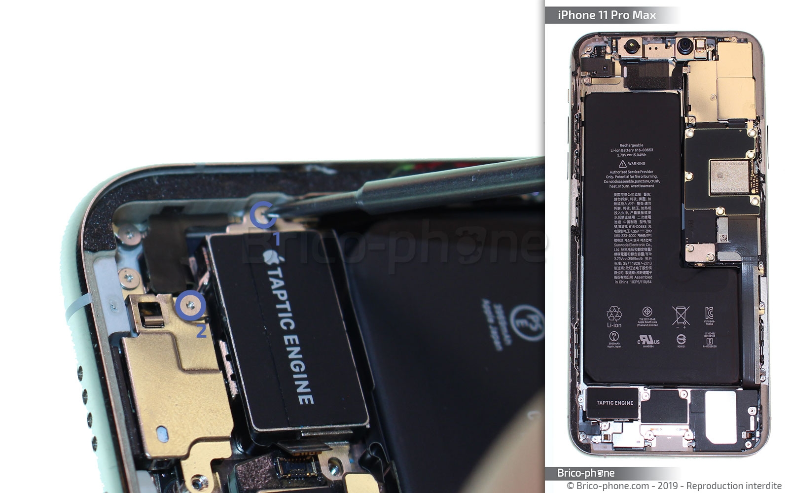 Changement du vibreur Taptic Engine sur iPhone 11 Pro Max photo 3