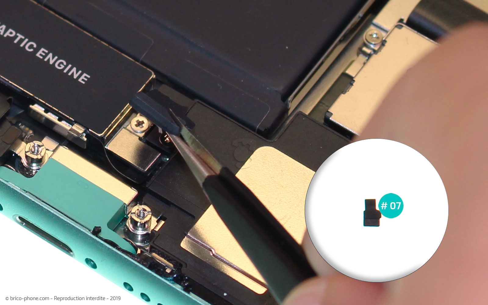 Remplacement du bloc haut-parleur sur iPhone 11 photo 2