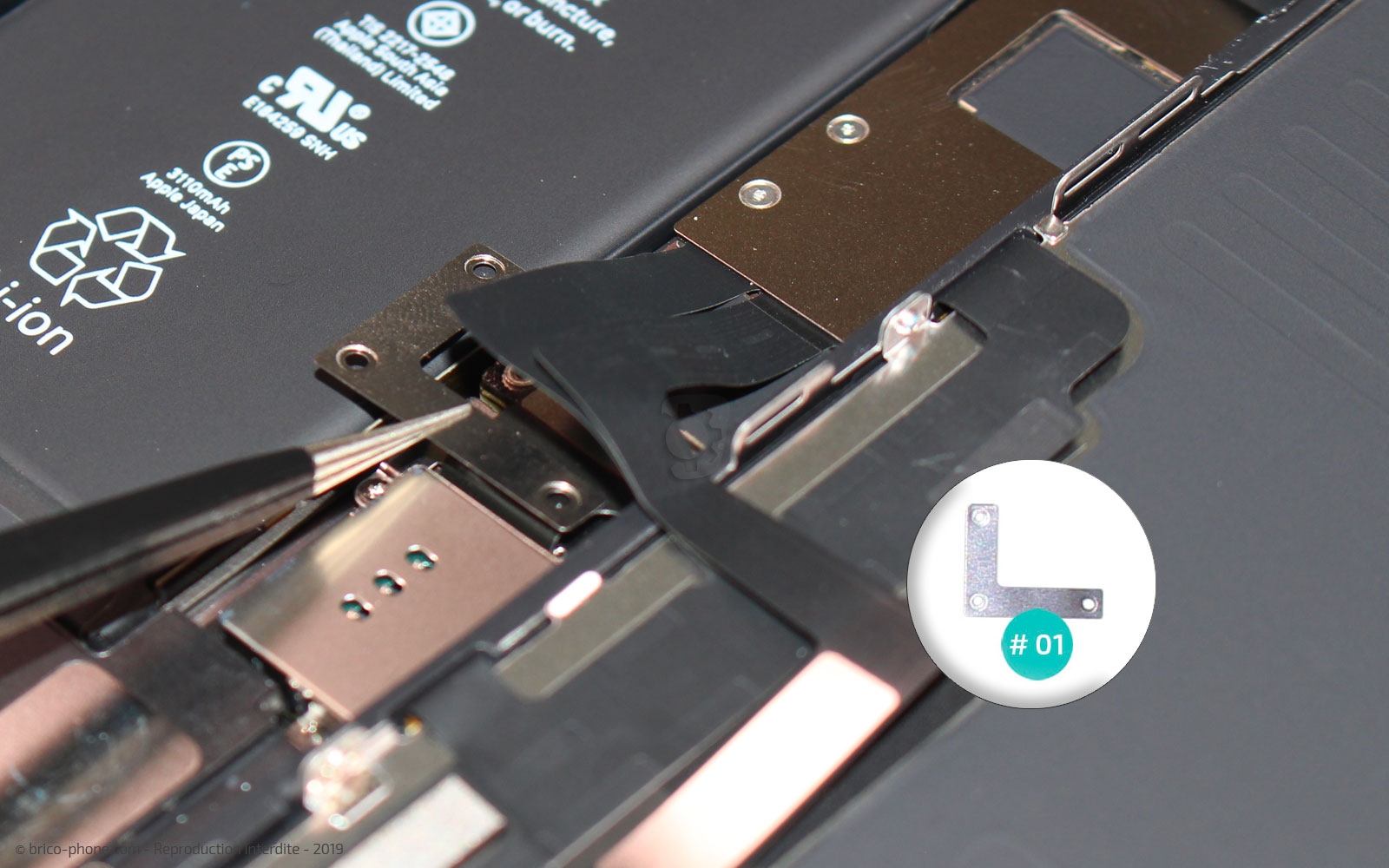 Remplacement du bloc haut-parleur sur iPhone 11 photo 3