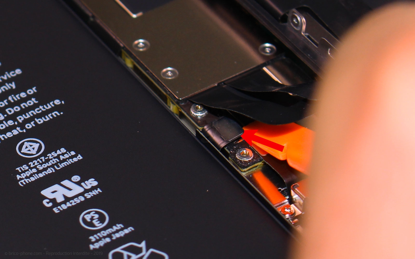 Remplacement du bloc haut-parleur sur iPhone 11 photo 4