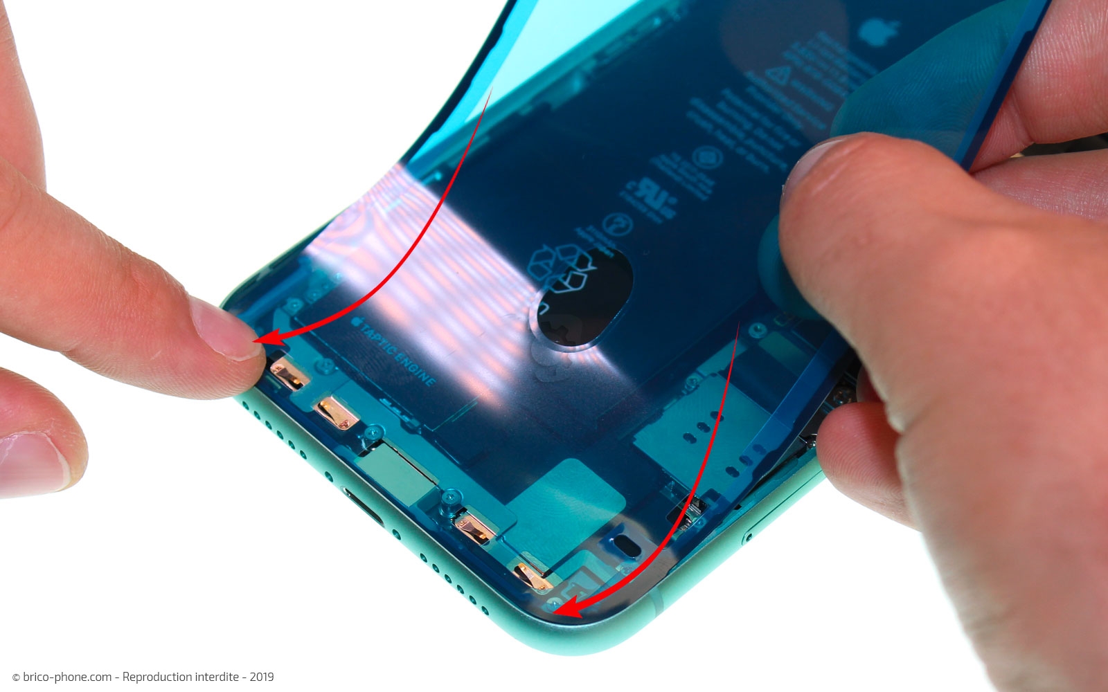 Remplacement du bloc haut-parleur sur iPhone 11 photo 1