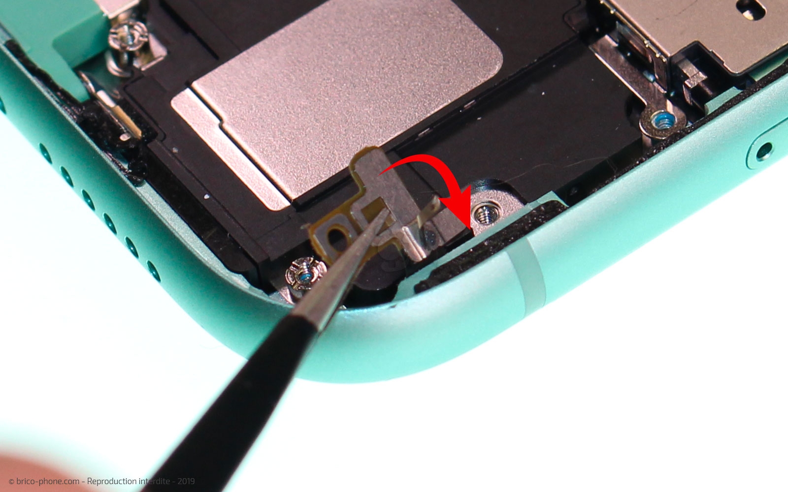 Remplacement du bloc haut-parleur sur iPhone 11 photo 1