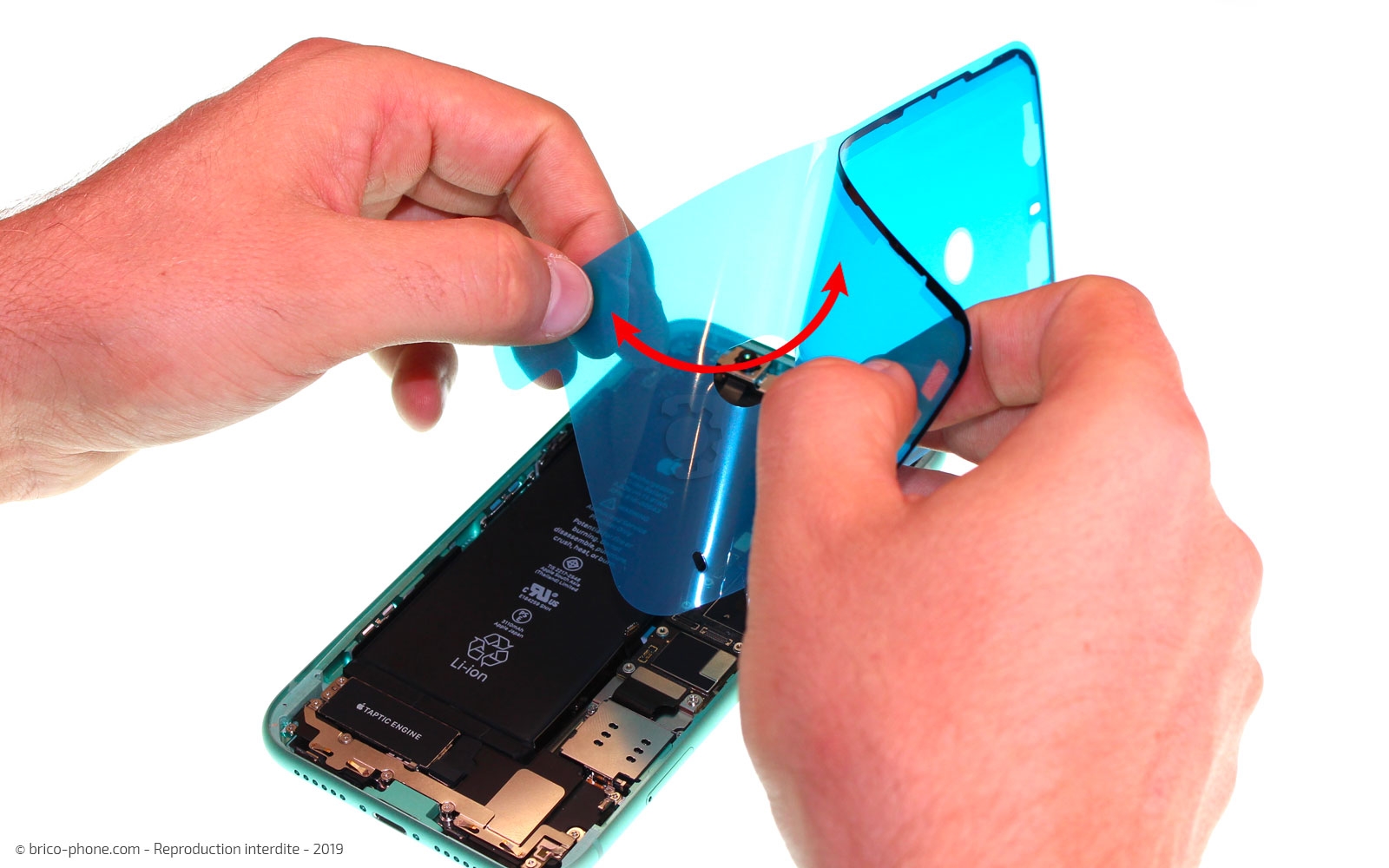 Changement du lecteur SIM sur iPhone 11 photo 3