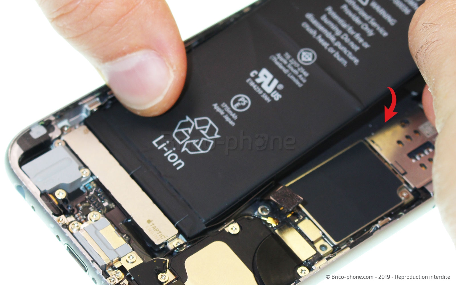 Pose de stickers sur batterie d'iPhone 5C, 5S, SE, série 6 et série 7 photo 2