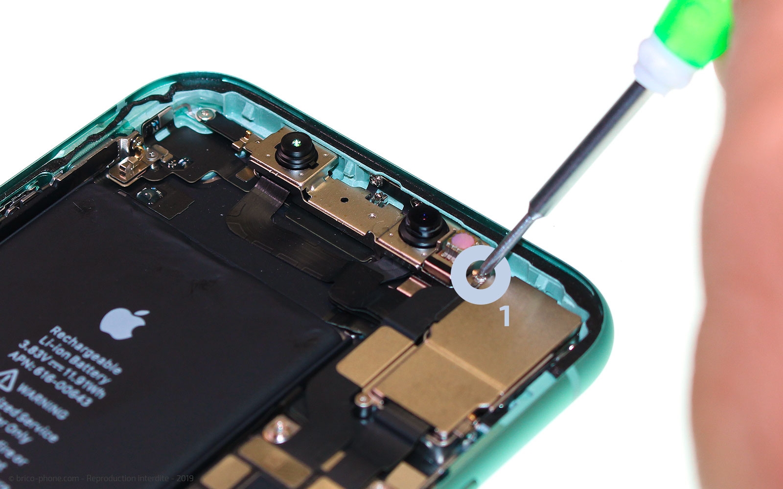 Changement du module caméras arrière sur iPhone 11 photo 1