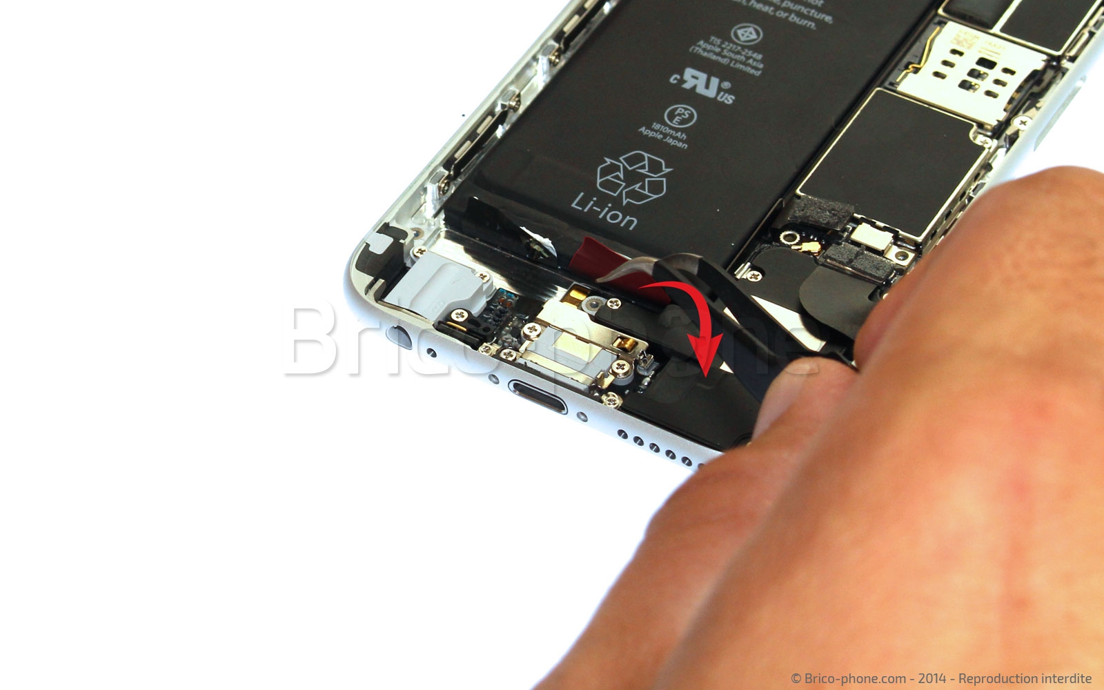 Changement de nappe volume et vibreur sur iPhone 6 photo 2