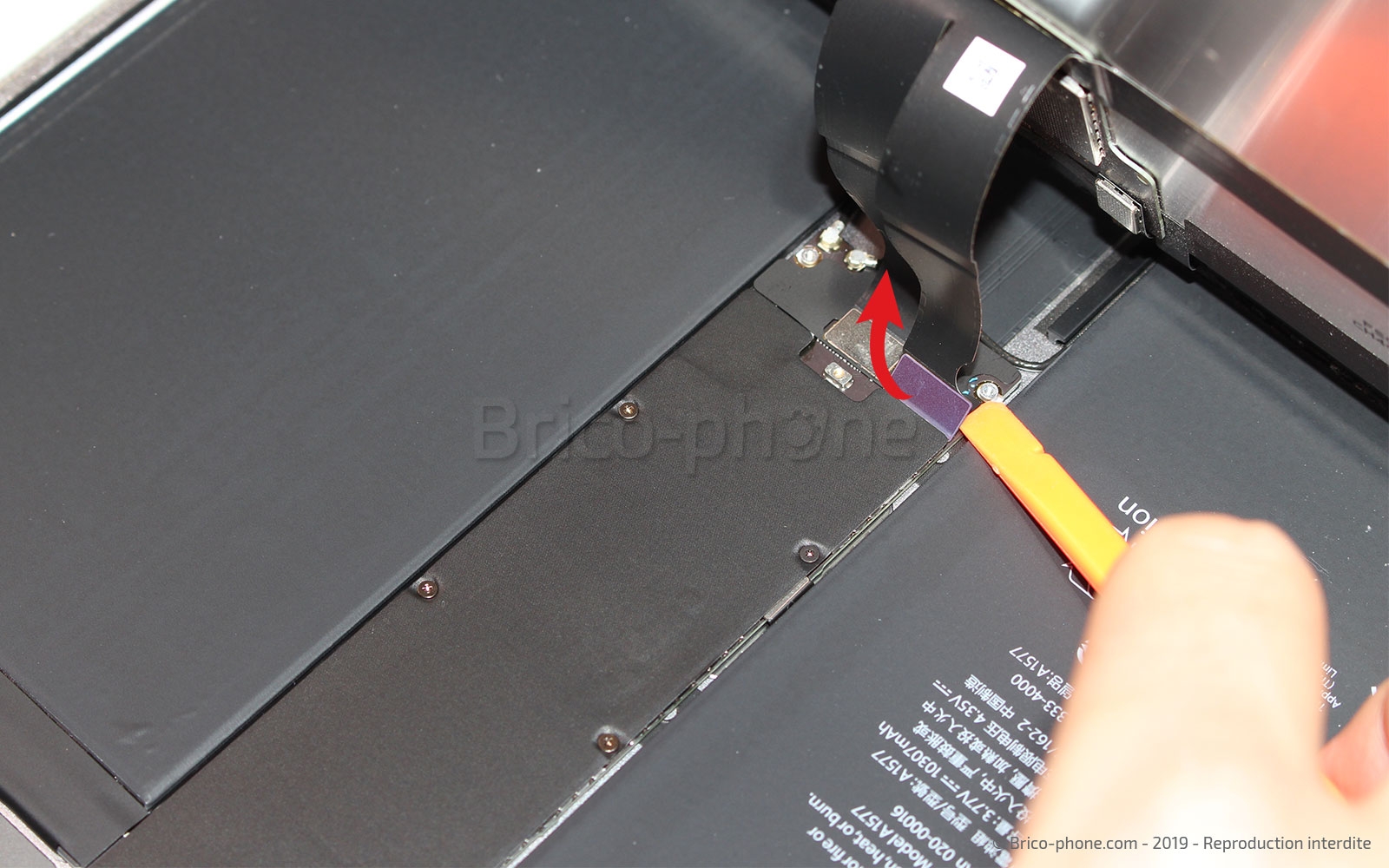 Changement de l'écran (vitre et LCD) sur iPad Pro 12-9 2015 photo 1