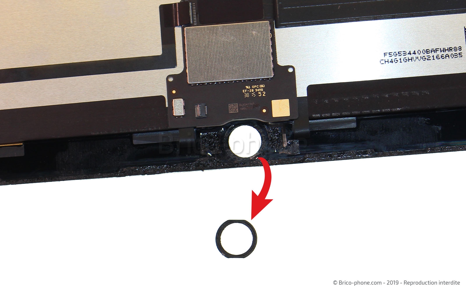 Changement de l'écran (vitre et LCD) sur iPad Pro 12-9 2015 photo 2