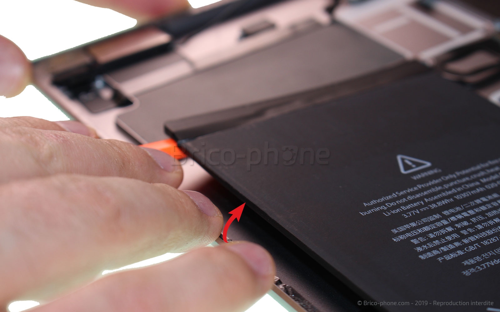 Changement de la batterie sur iPad Pro 12-9 2015 photo 2