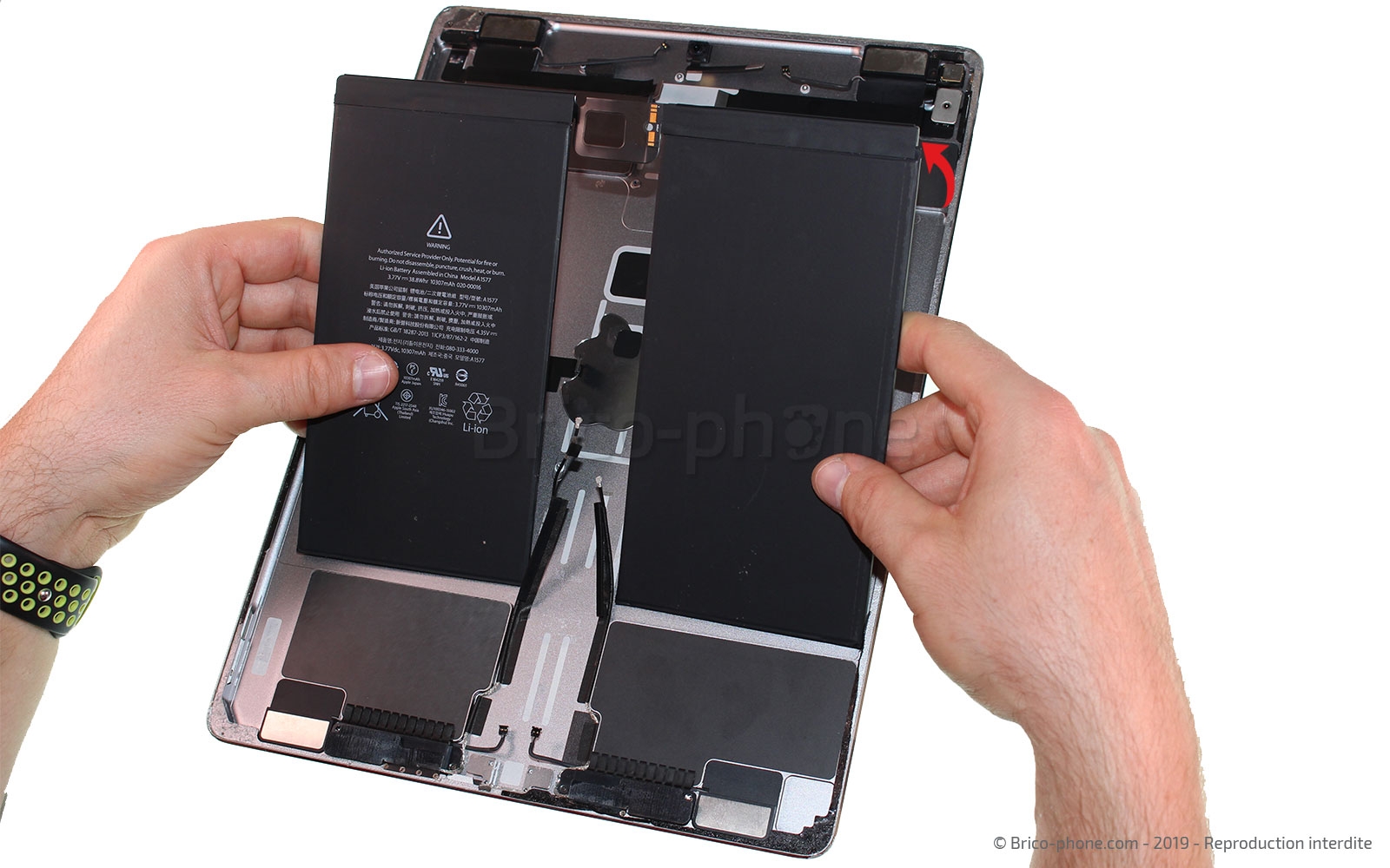 Changement de la batterie sur iPad Pro 12-9 2015 photo 3