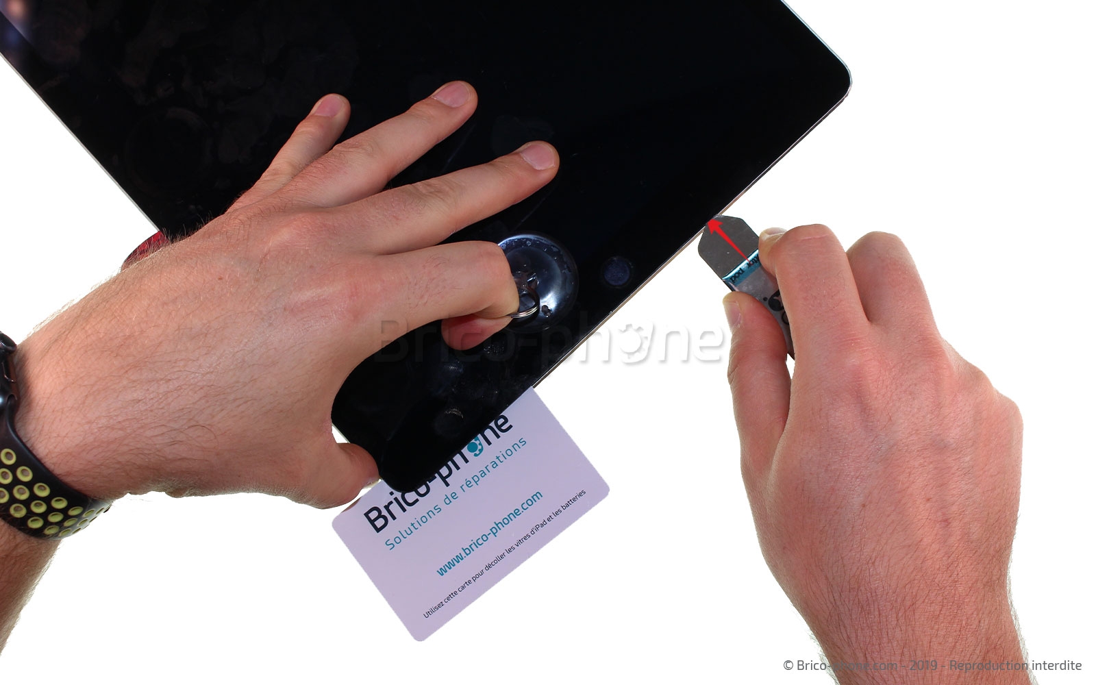 Changement de la batterie sur iPad Pro 12-9 2015 photo 4