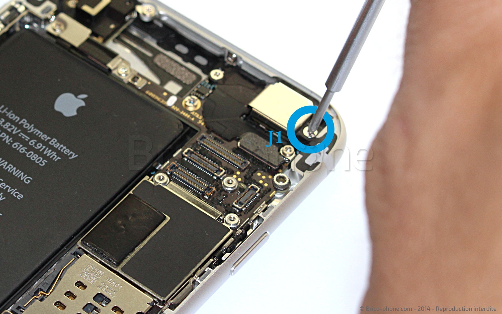 Changement de nappe bouton Power et flash sur iPhone 6 photo 1