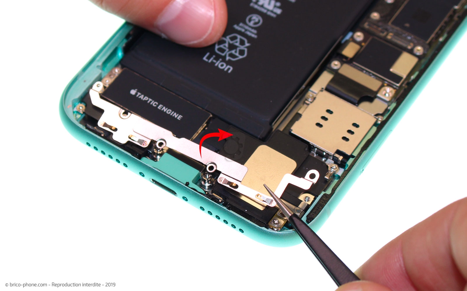 Remplacer le connecteur de charge sur iPhone 11 photo 2