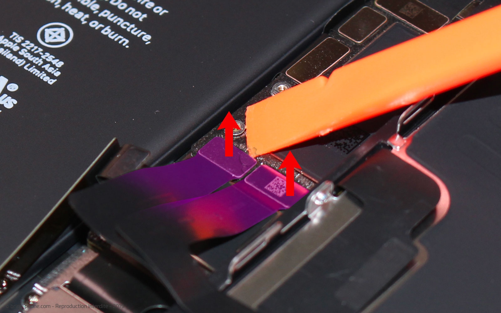 Remplacer le connecteur de charge sur iPhone 11 photo 1