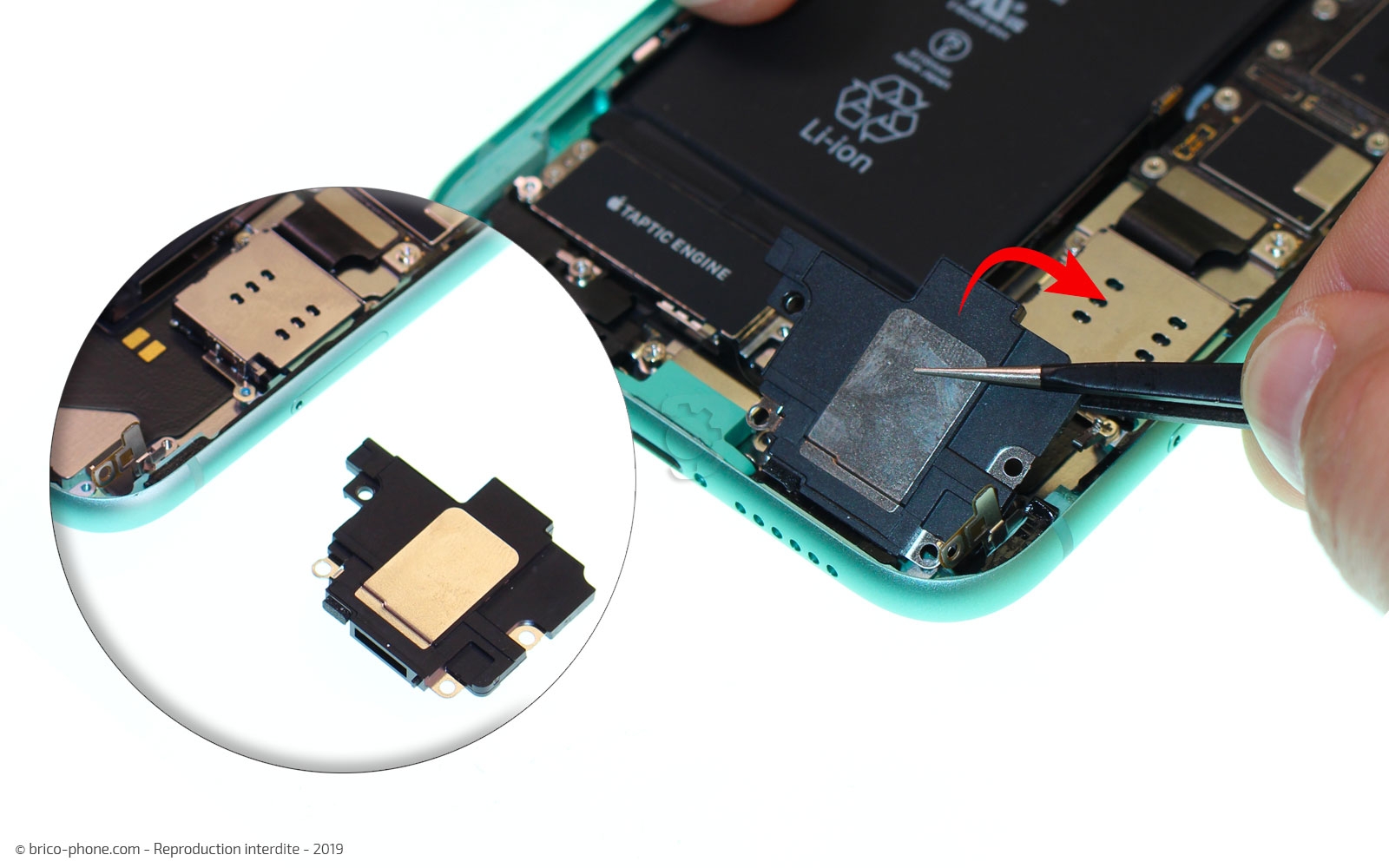 Remplacer le connecteur de charge sur iPhone 11 photo 3