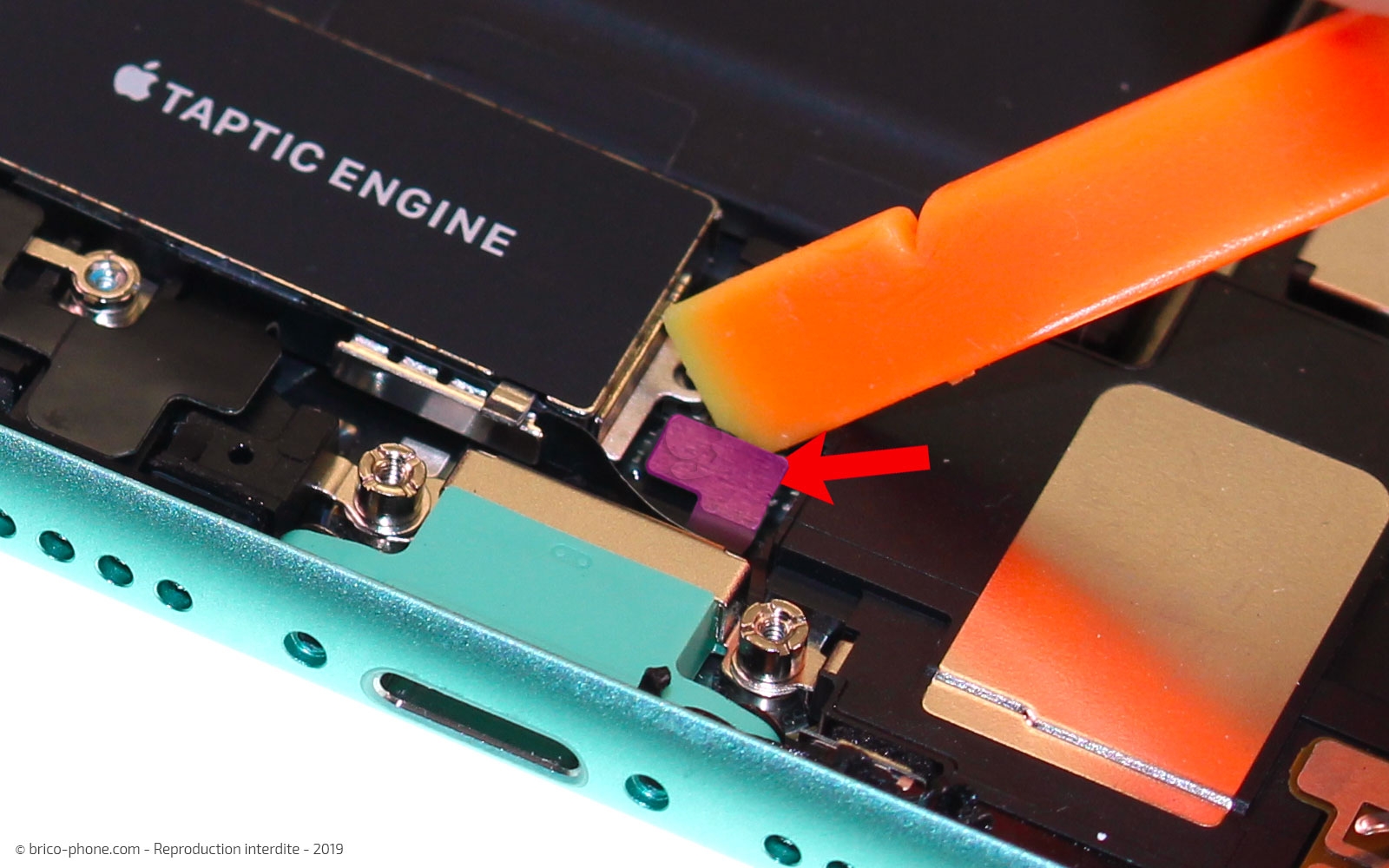 Remplacer le connecteur de charge sur iPhone 11 photo 1